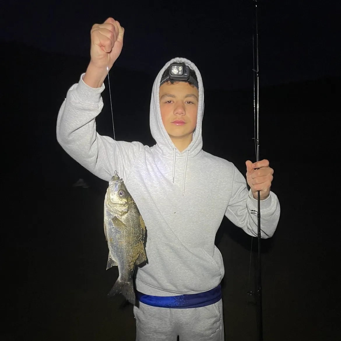 The most recent Estuary perch catches on Fishbrain