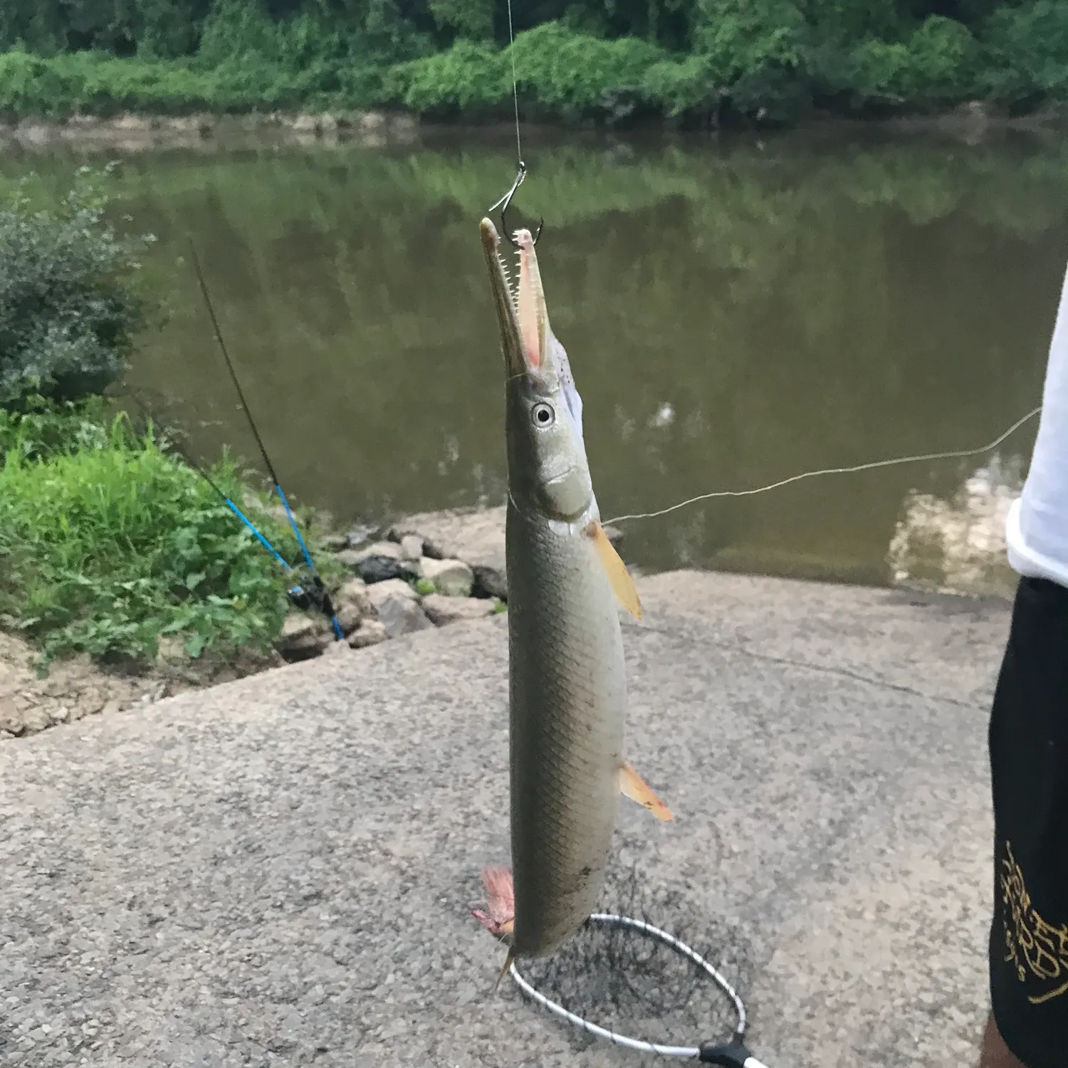 catch