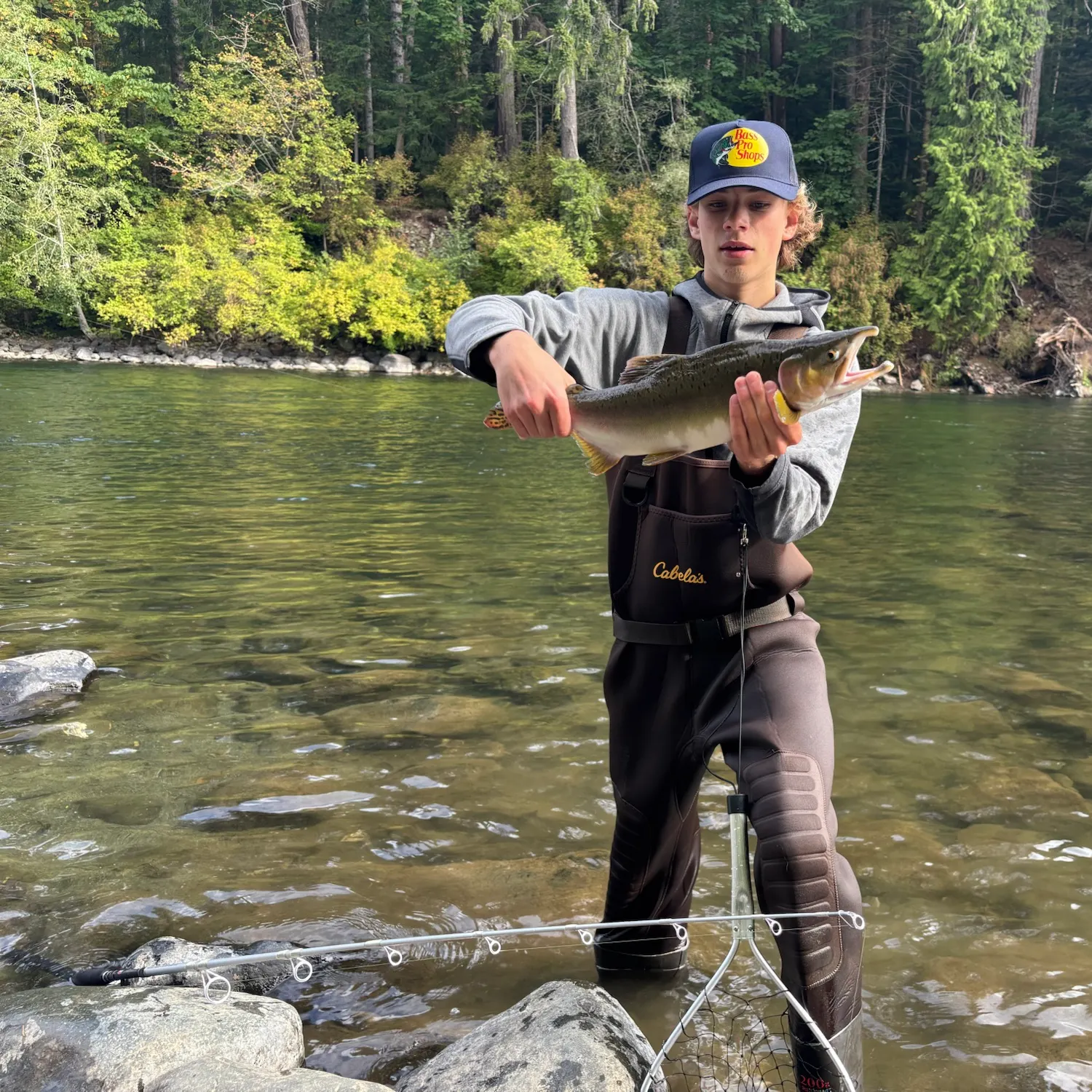 Pink salmon caught on Fishbrain