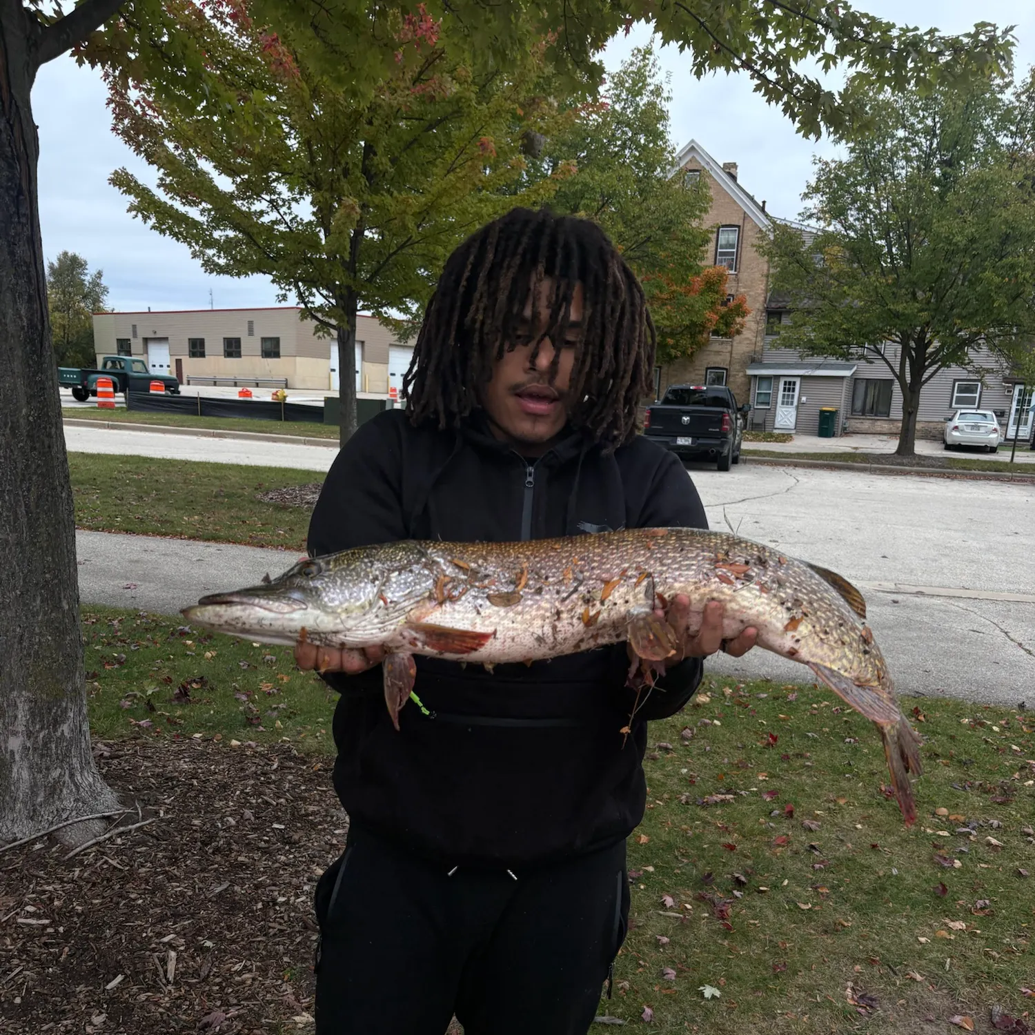 Northern pike caught on Fishbrain