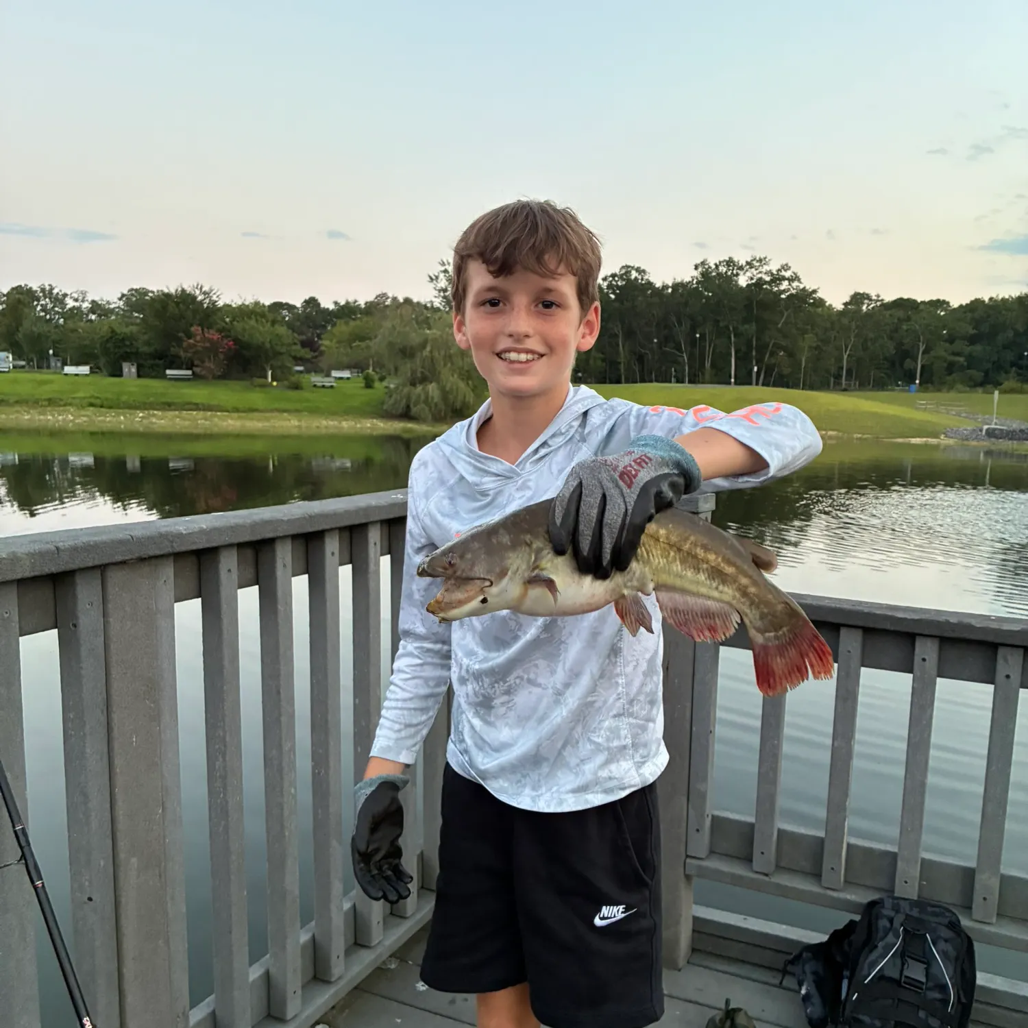 Redtail catfish caught on Fishbrain