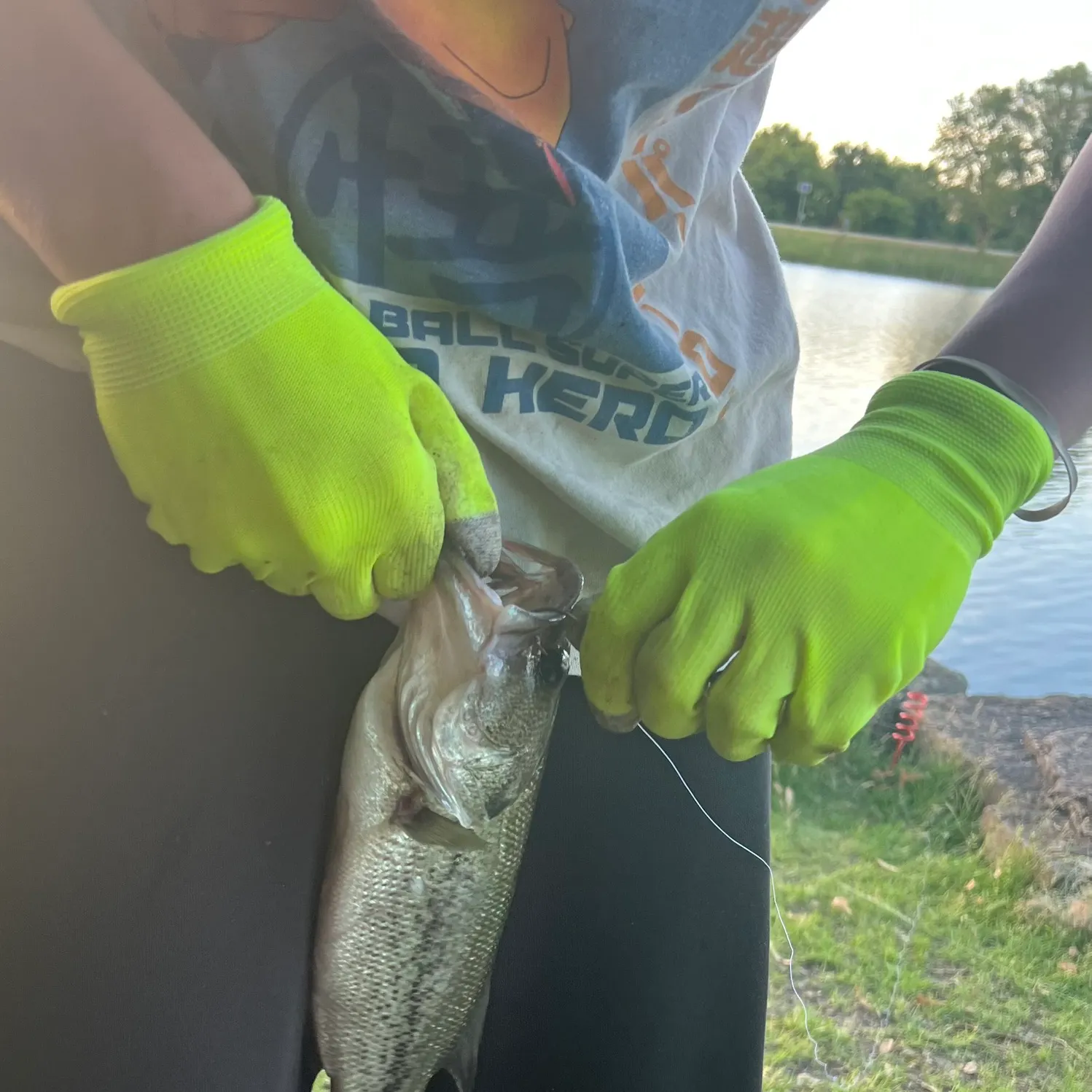 catch