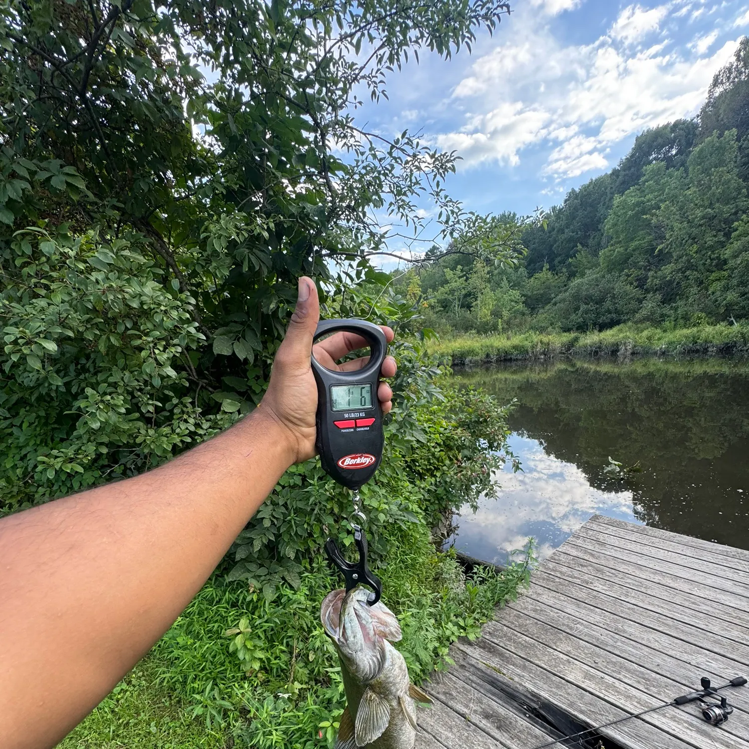 Smallmouth bass caught on Fishbrain