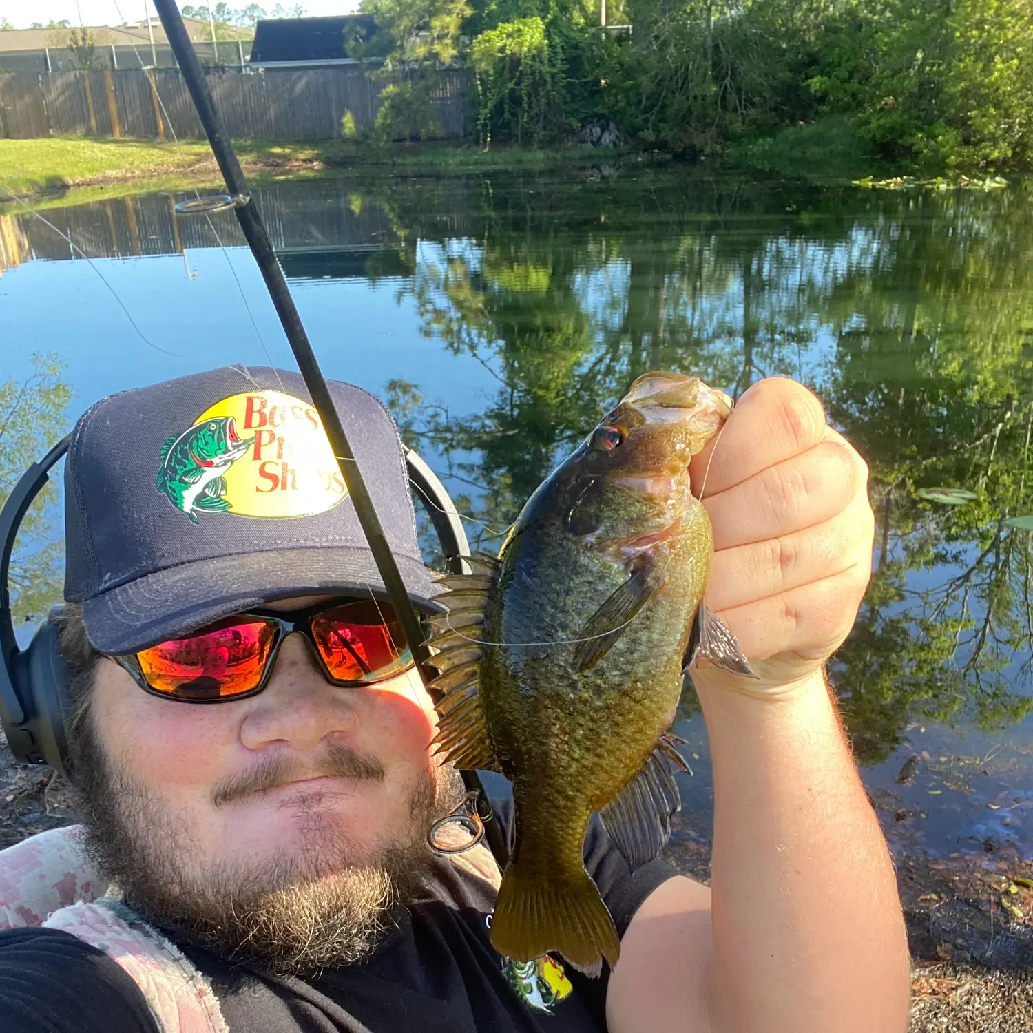 The most recent Warmouth catches on Fishbrain