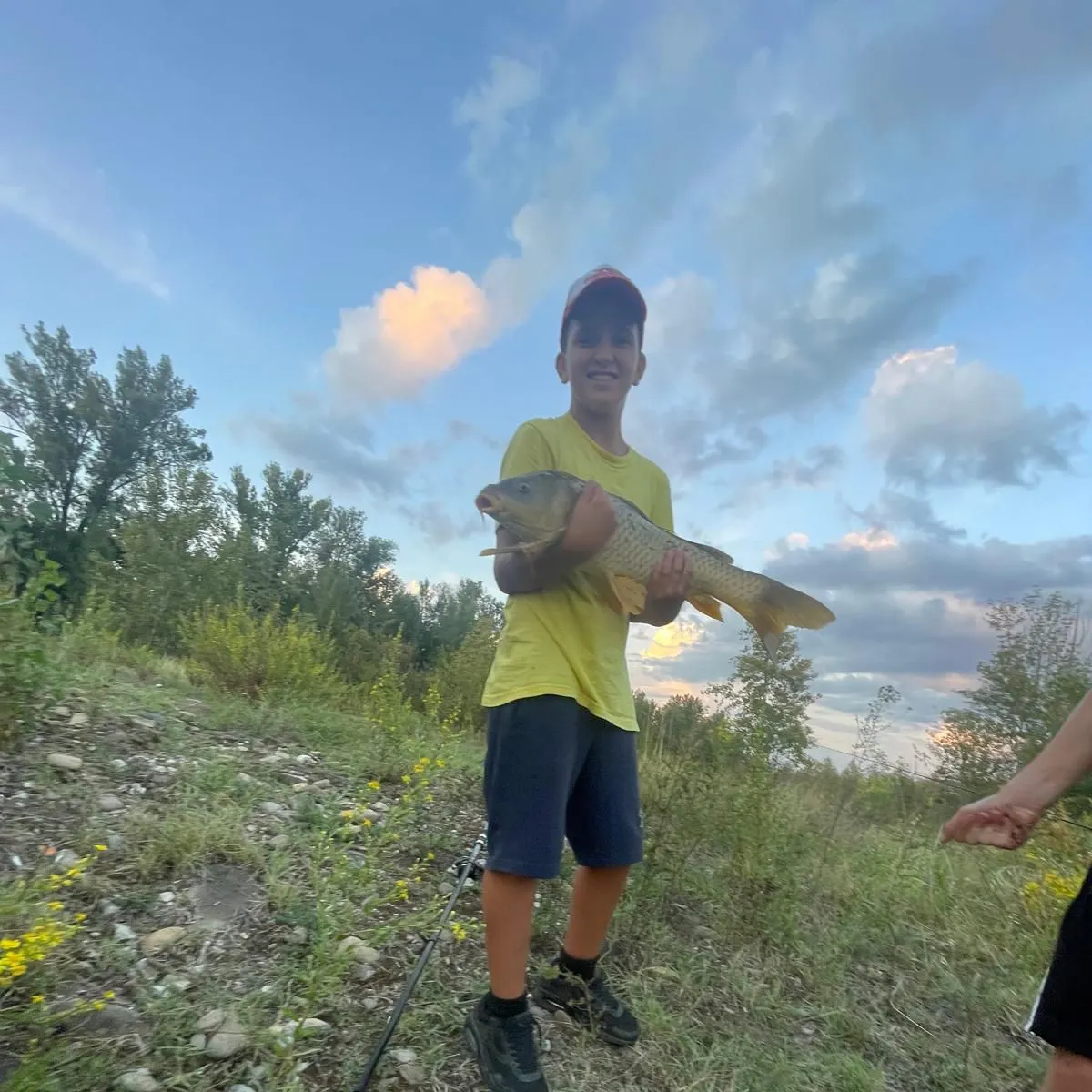 Common carp caught on Fishbrain