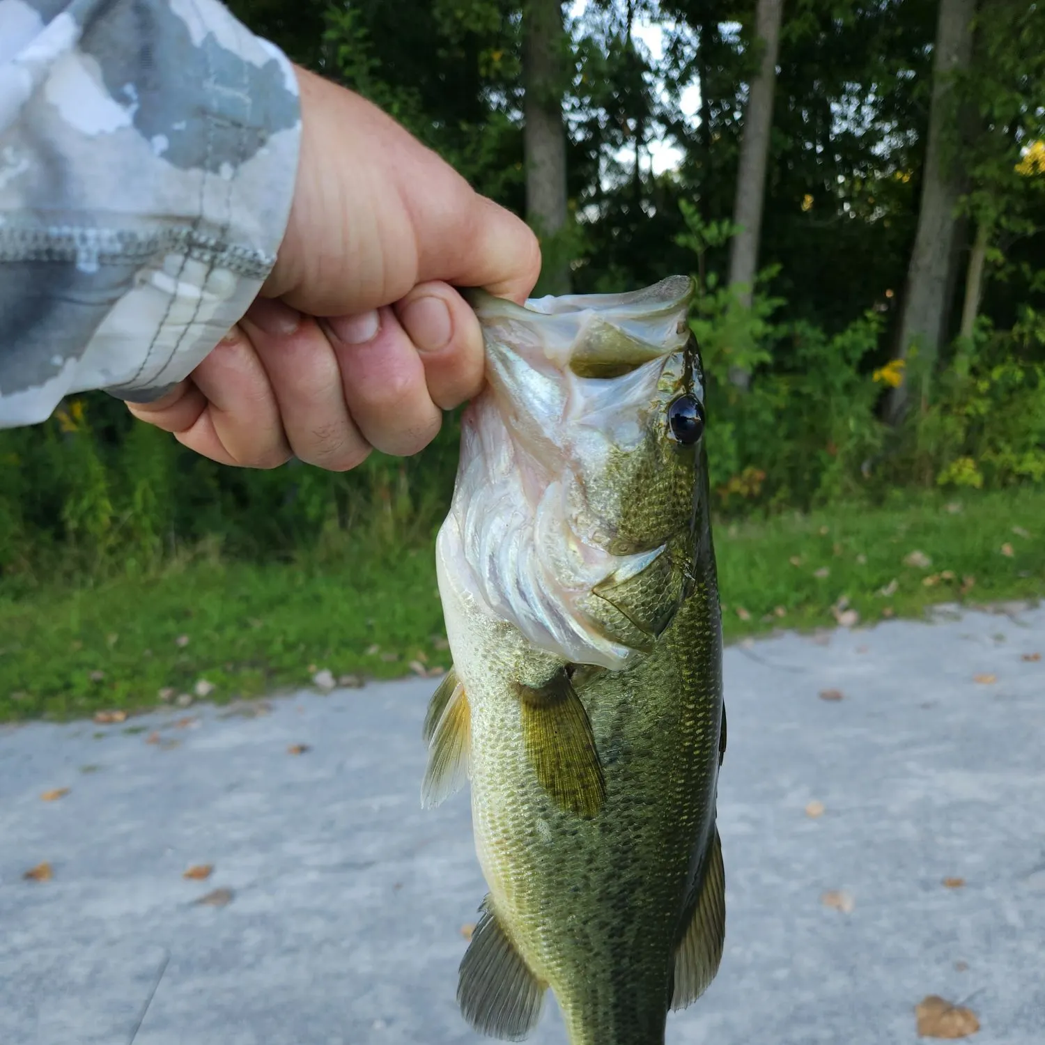 catch