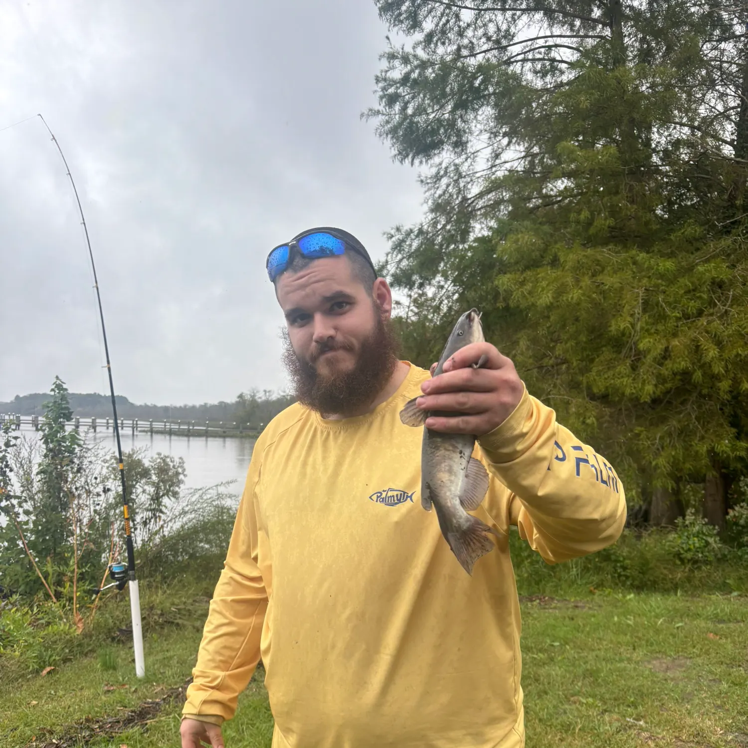 Channel catfish caught on Fishbrain