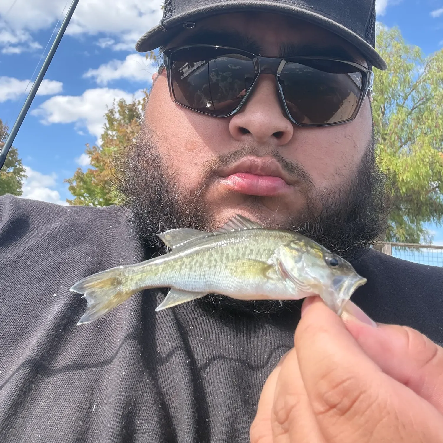 The most recent Spotted bass catches on Fishbrain