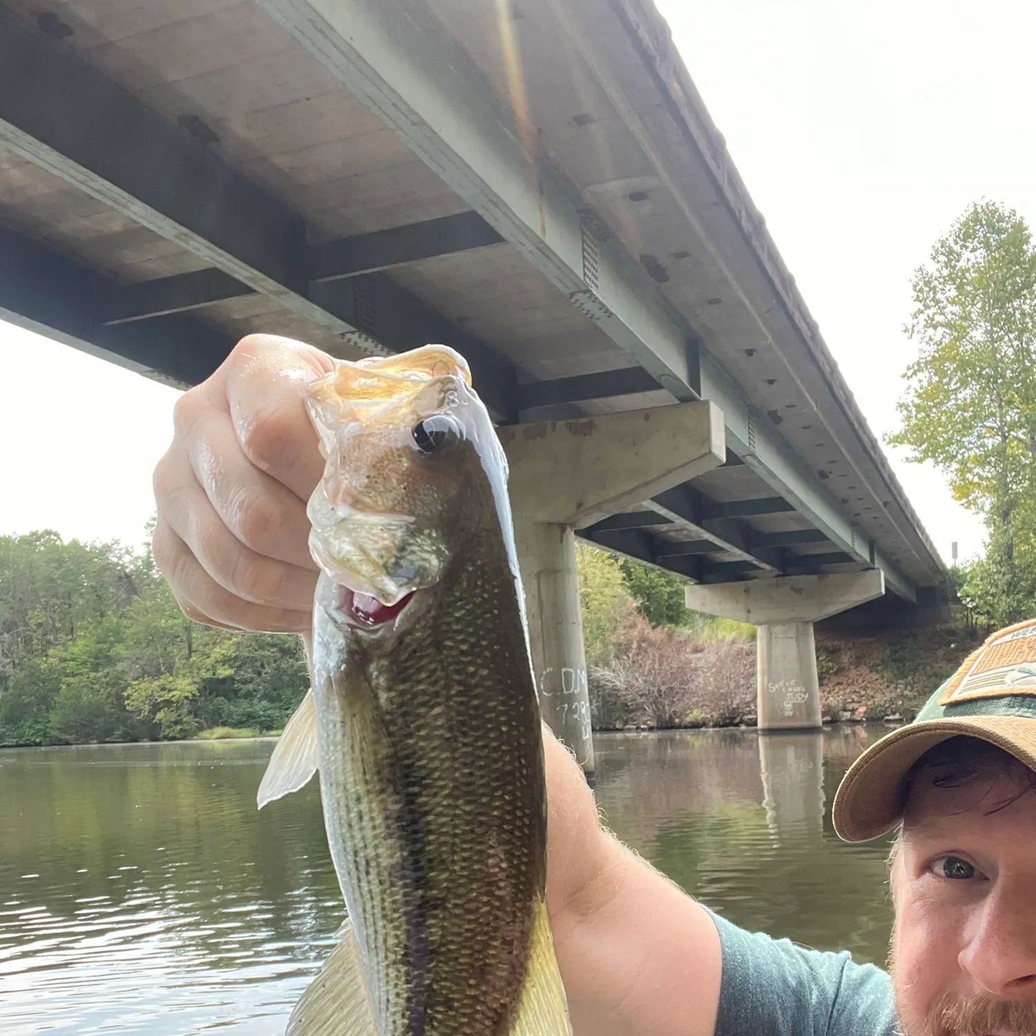 Spotted bass caught on Fishbrain