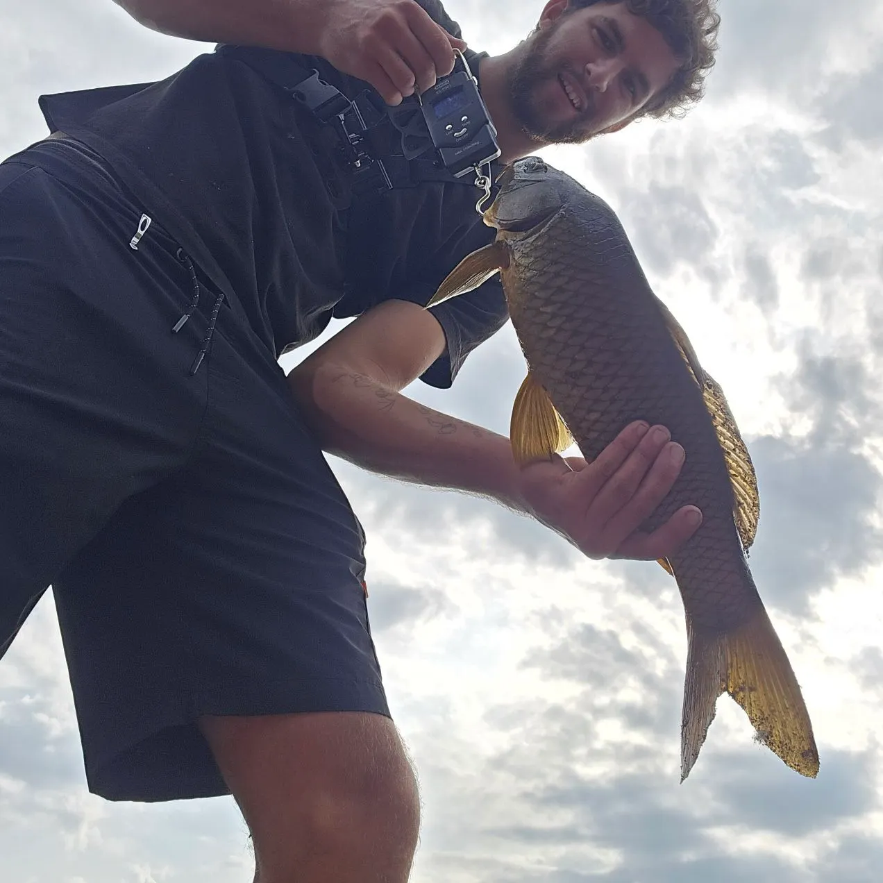 Common carp caught on Fishbrain