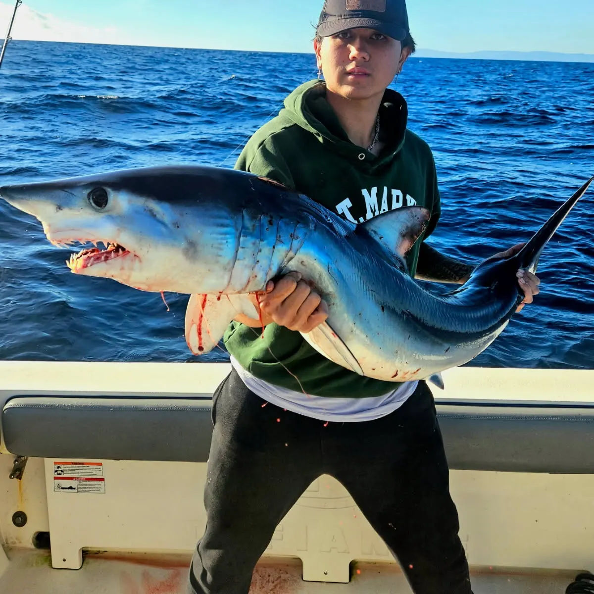 The most recent Shortfin mako shark catches on Fishbrain