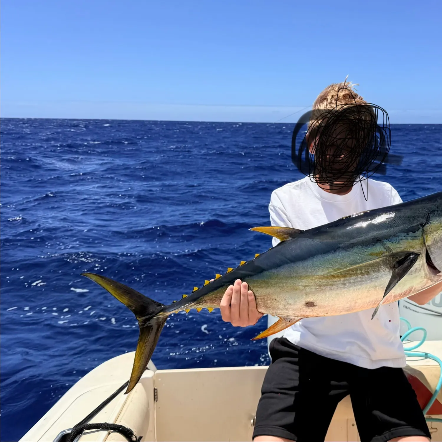 The most recent Yellowfin tuna catches on Fishbrain