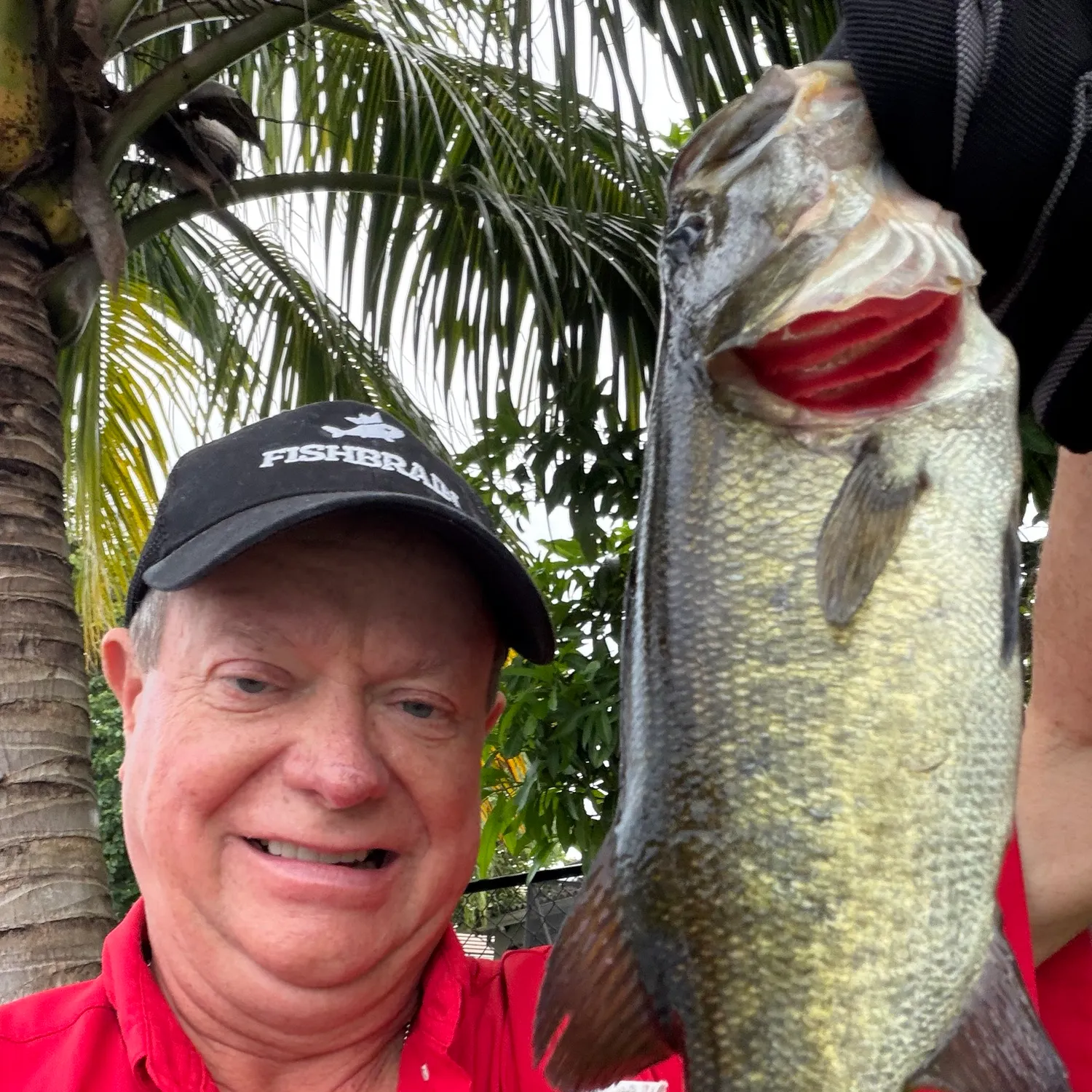 Florida bass caught on Fishbrain