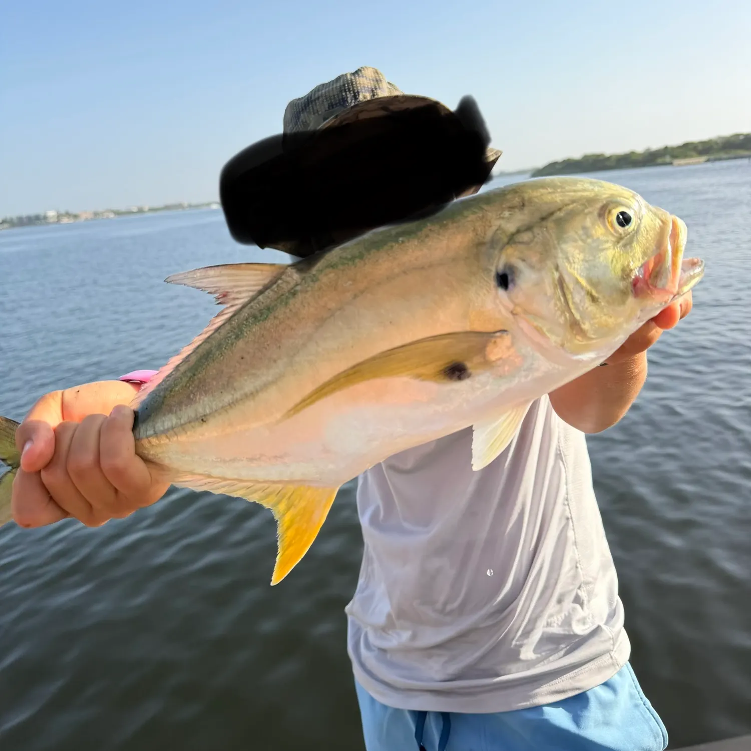 The most recent Crevalle jack catches on Fishbrain