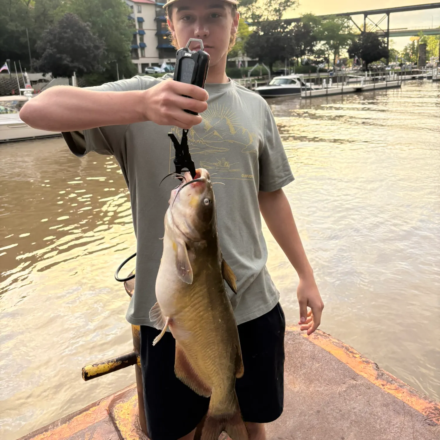 recently logged catches