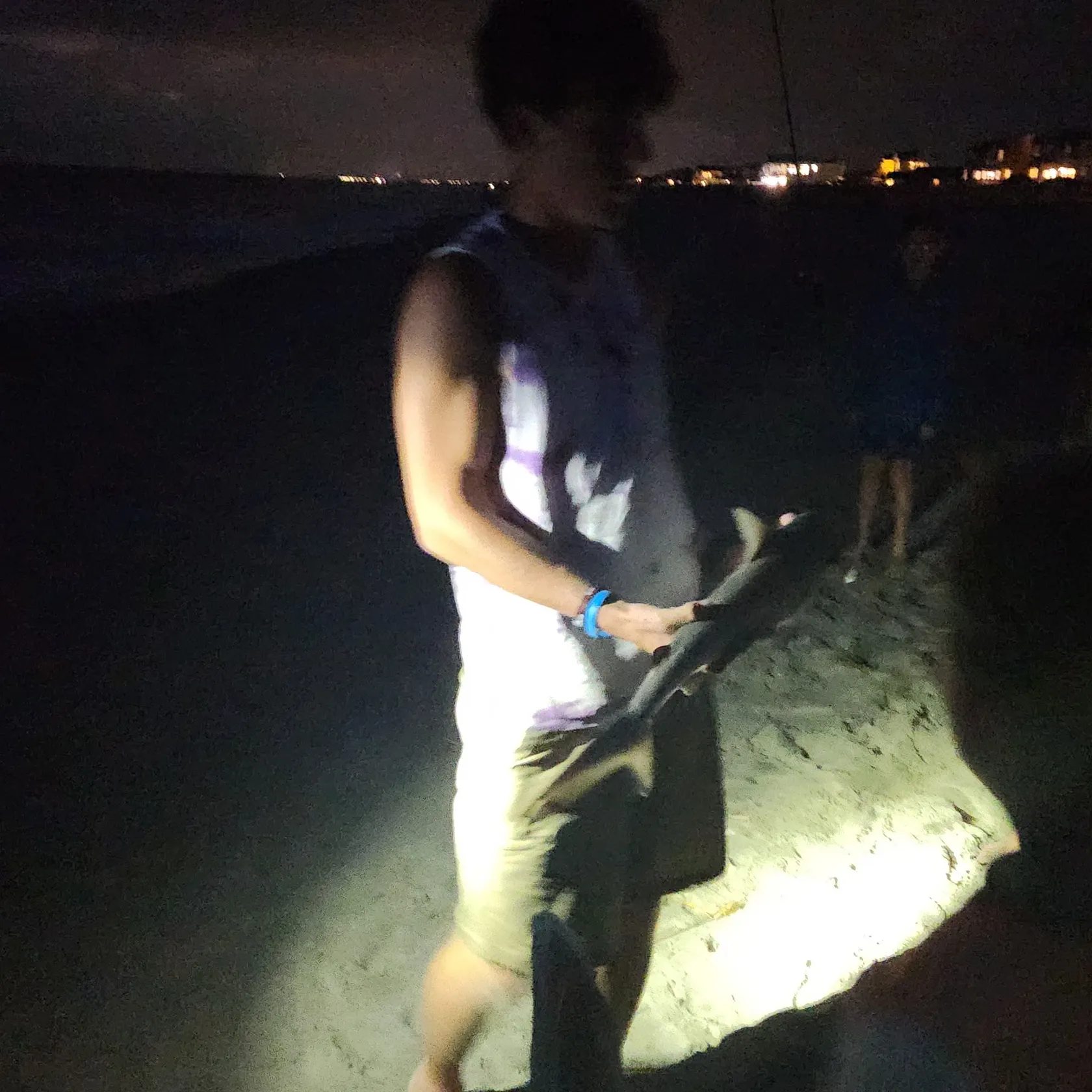 The most recent Sand tiger shark catches on Fishbrain