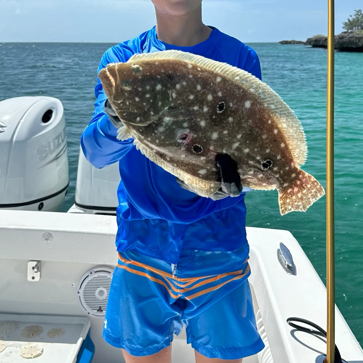 The most recent Gulf flounder catches on Fishbrain
