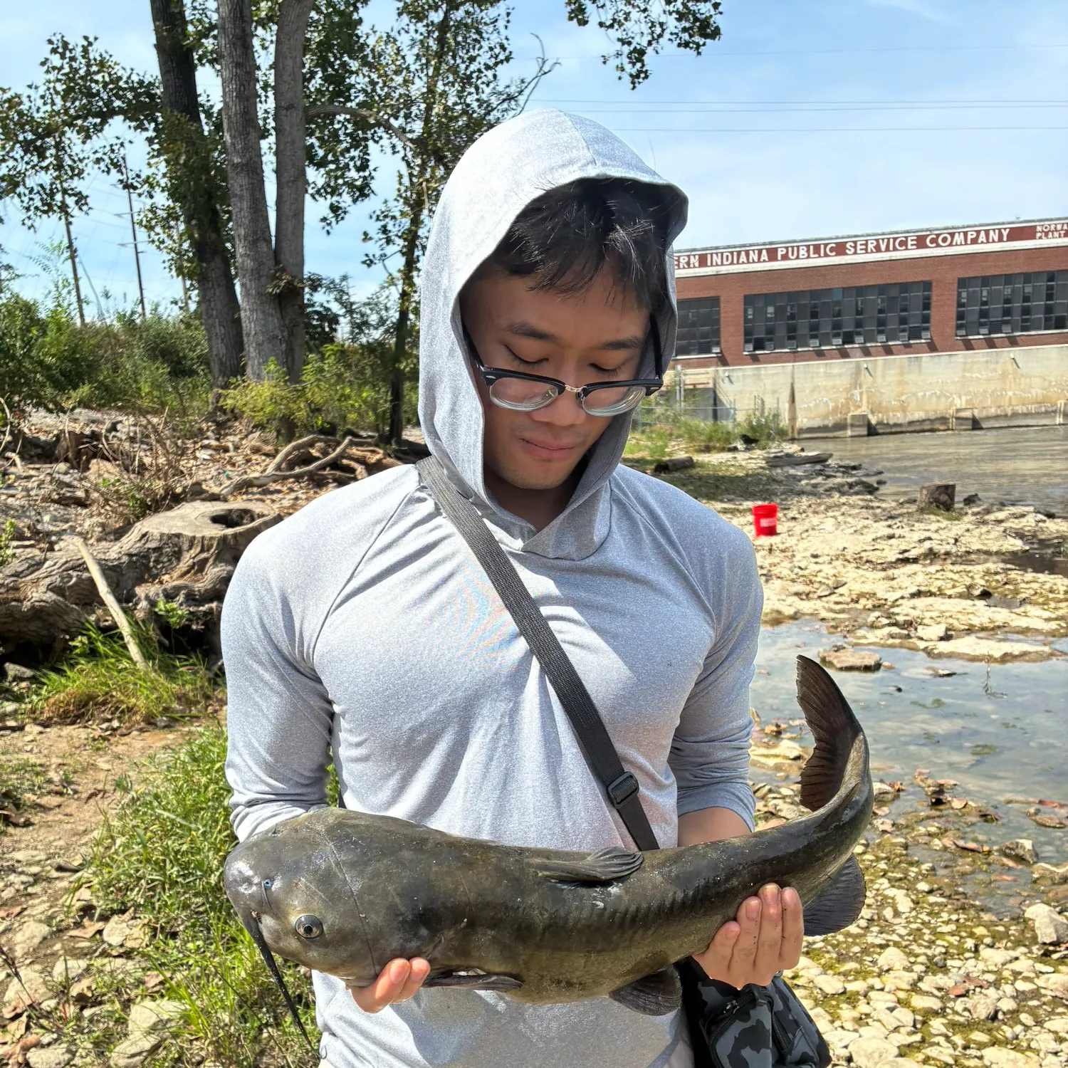 Channel catfish caught on Fishbrain