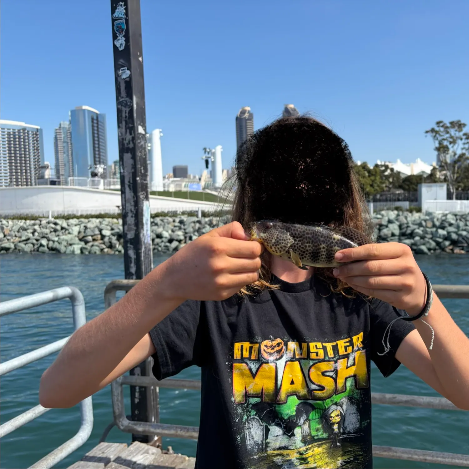 Spotted sand bass caught on Fishbrain