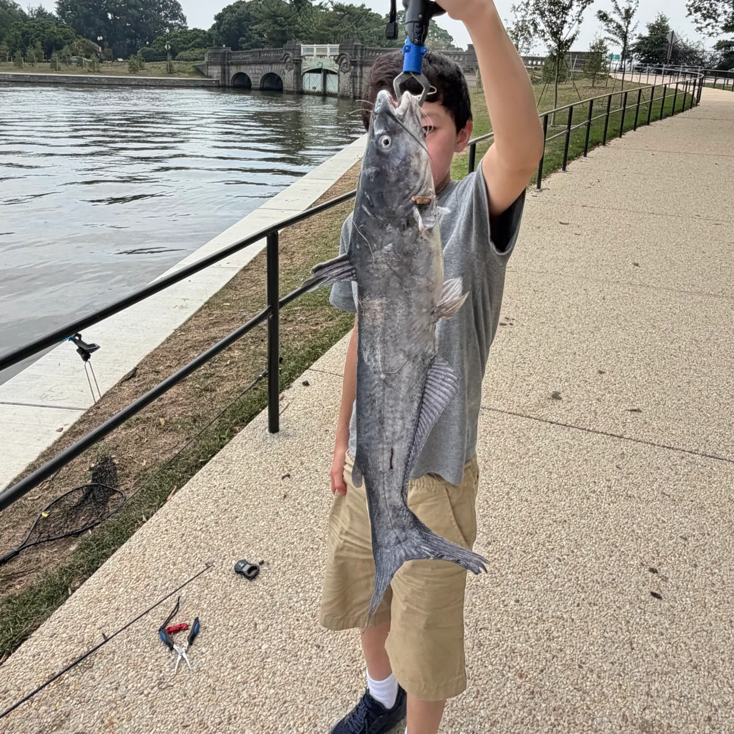 catch
