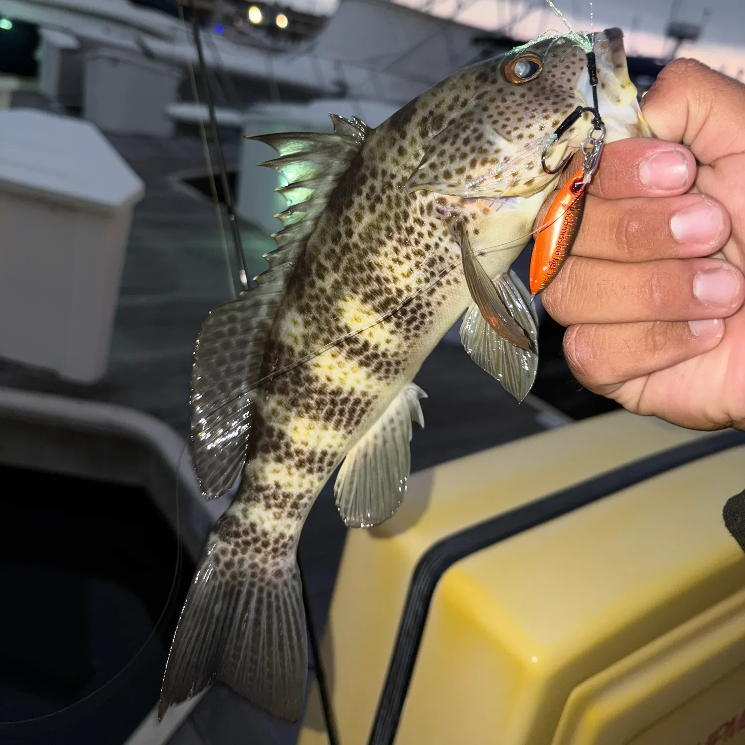 catch