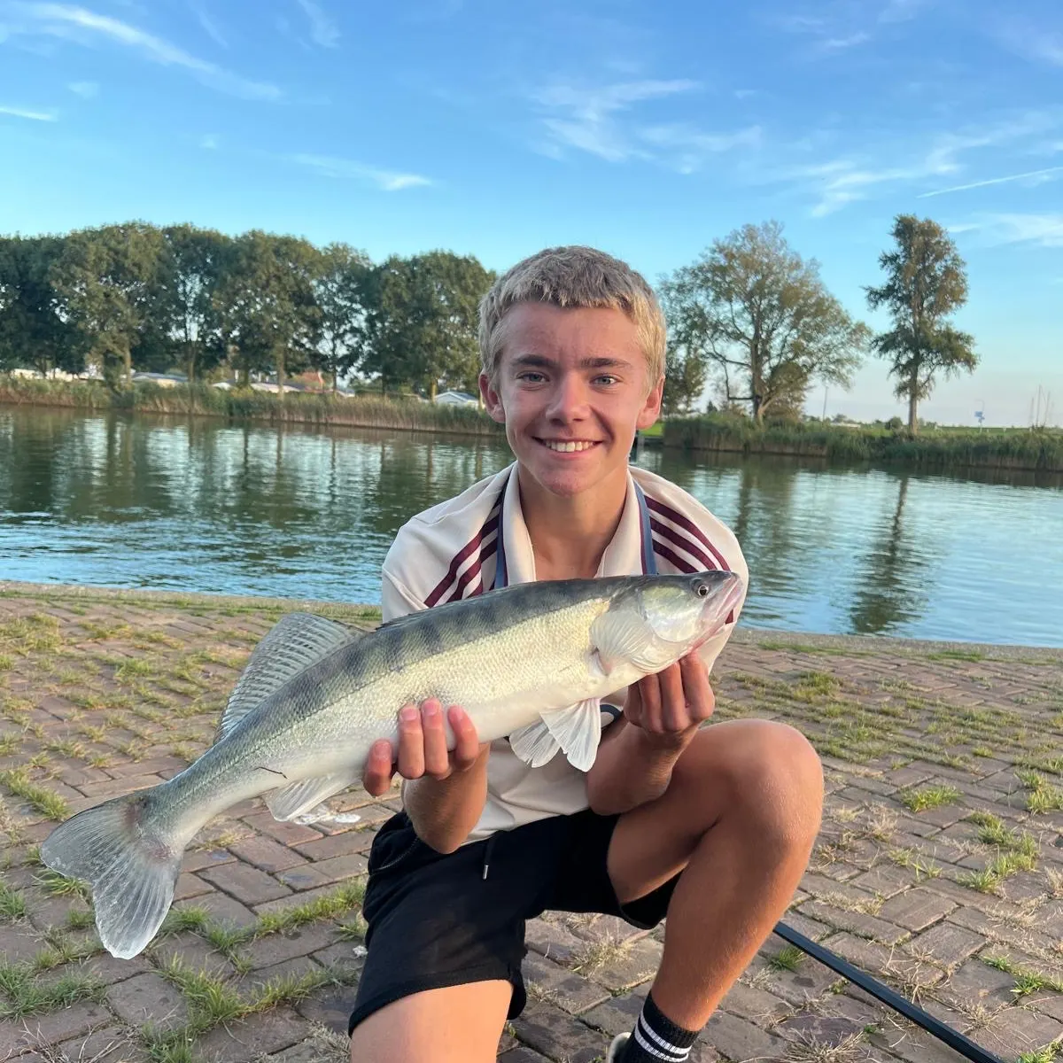 Zander caught on Fishbrain