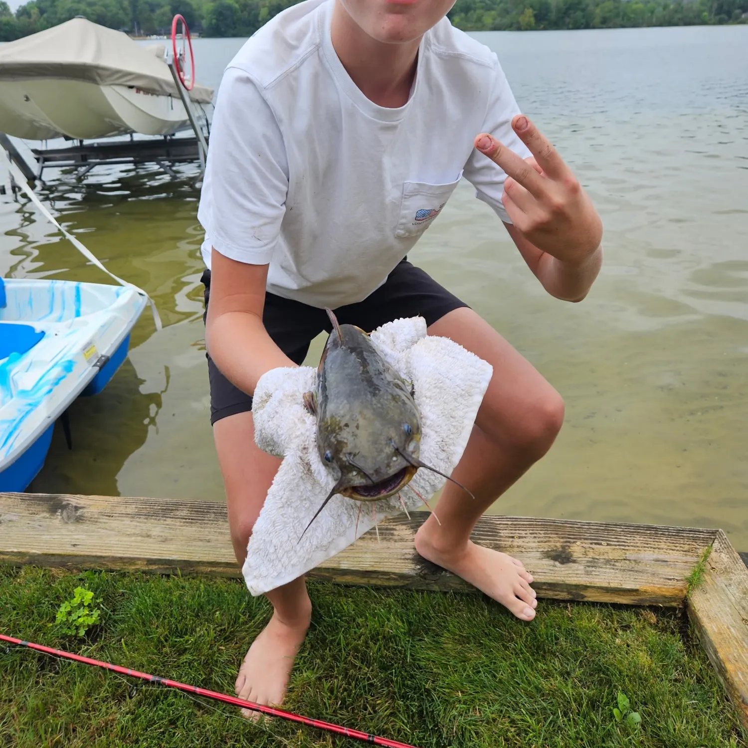 Black bullhead caught on Fishbrain