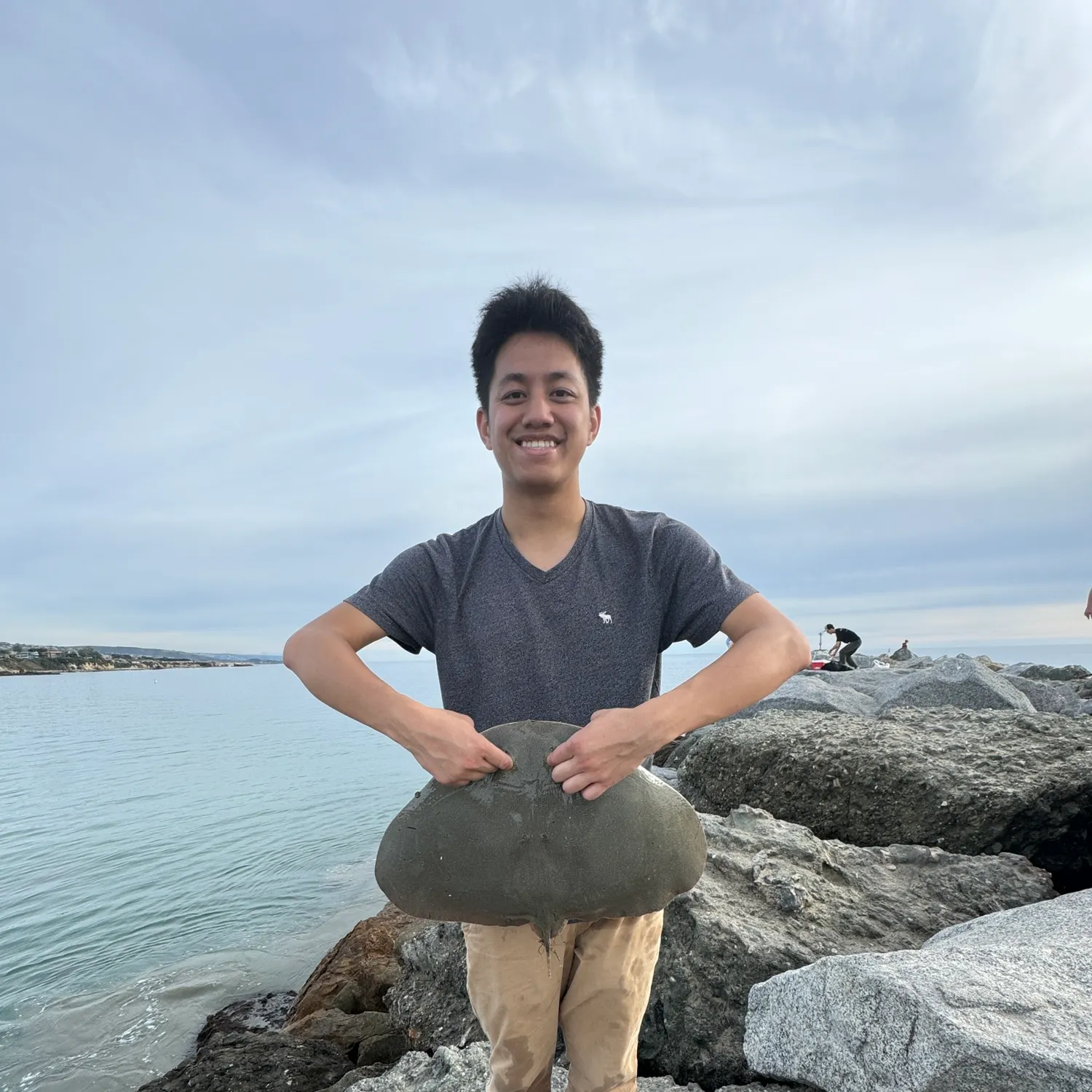 The most recent California butterfly ray catches on Fishbrain