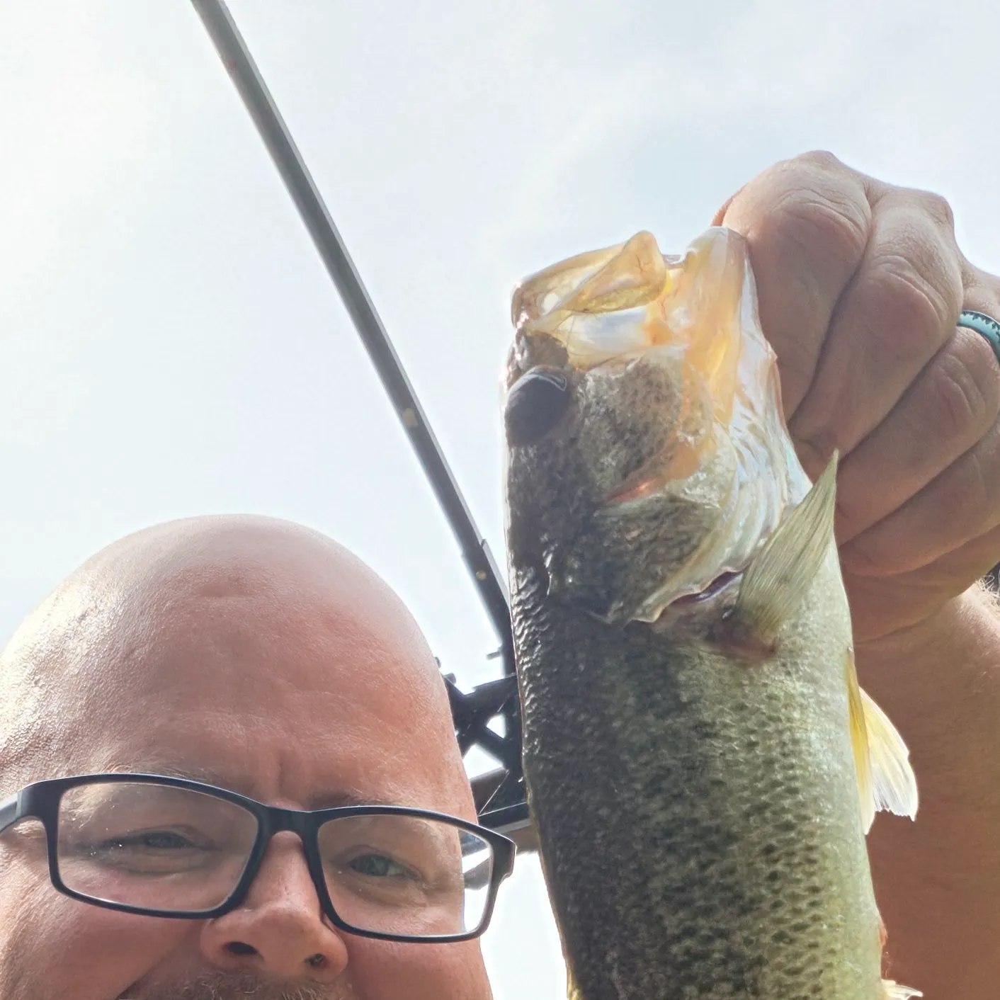 Largemouth bass caught on Fishbrain