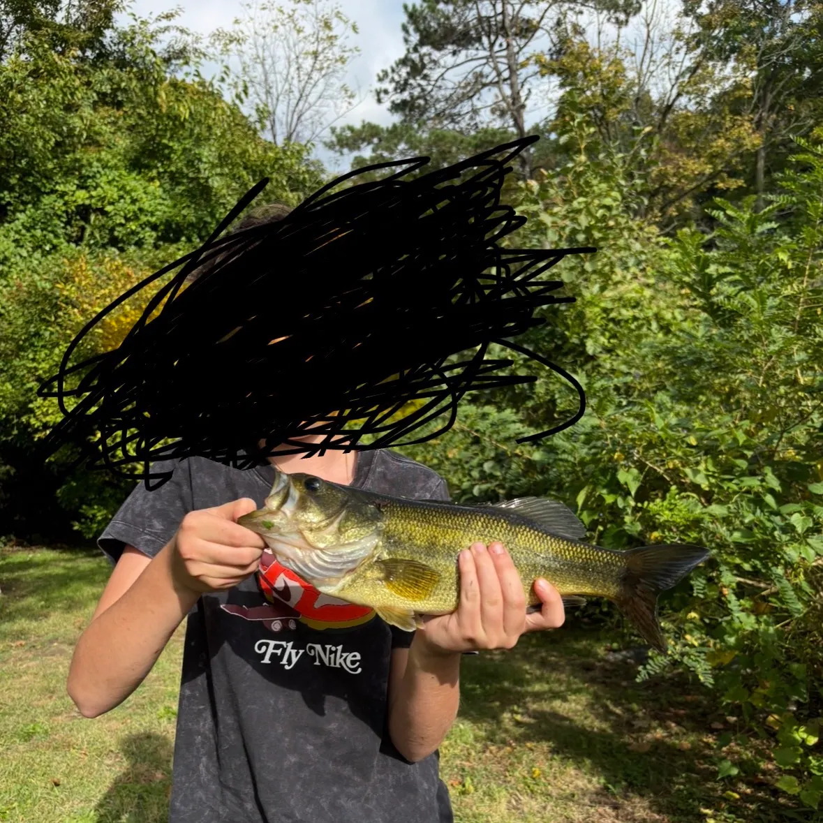 Largemouth bass caught on Fishbrain