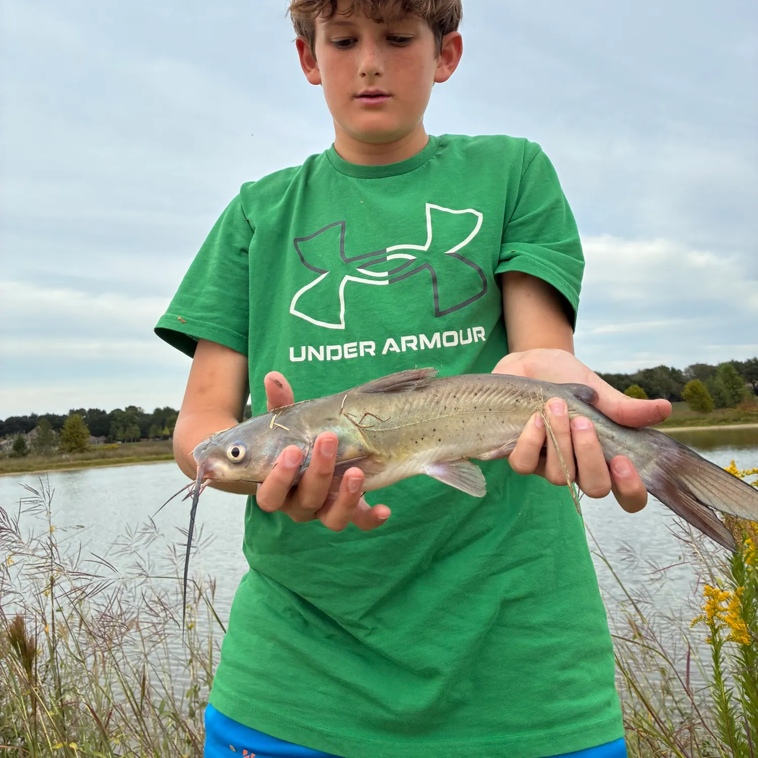 Channel catfish caught on Fishbrain