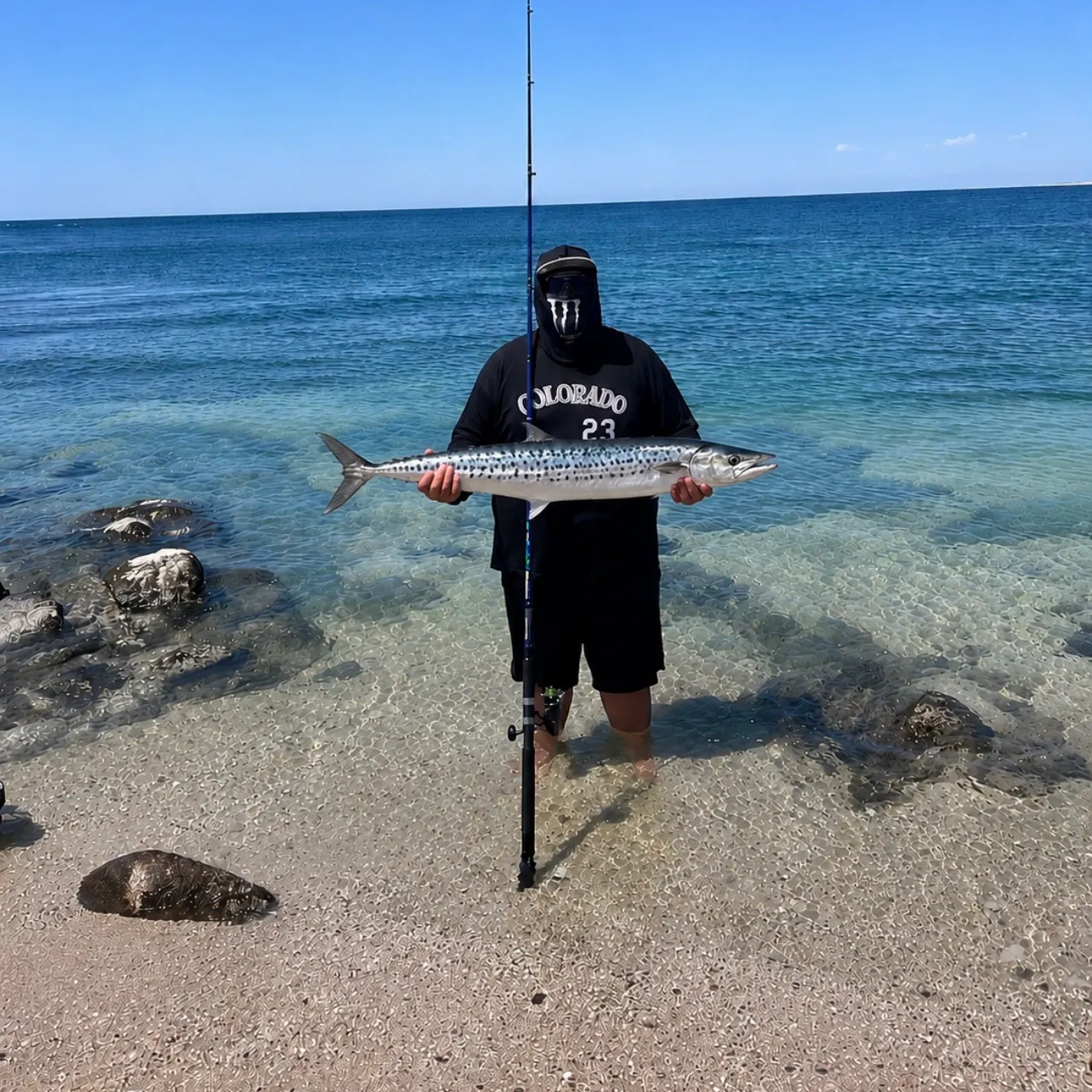 Monterey Spanish mackerel caught on Fishbrain