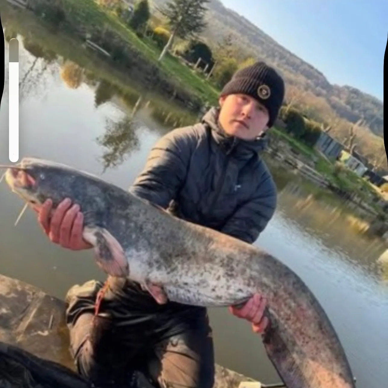 Wels catfish caught on Fishbrain