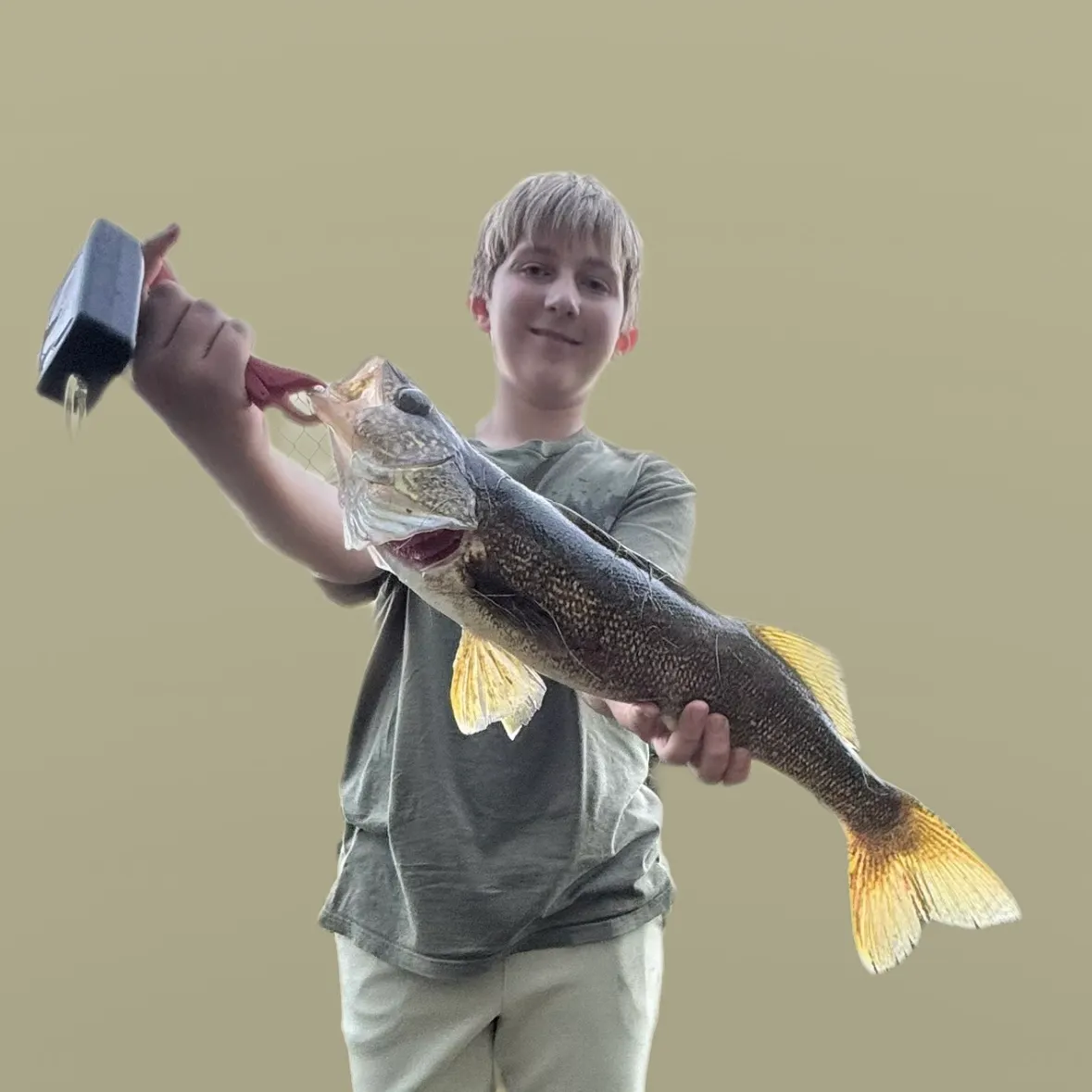 Walleye caught on Fishbrain