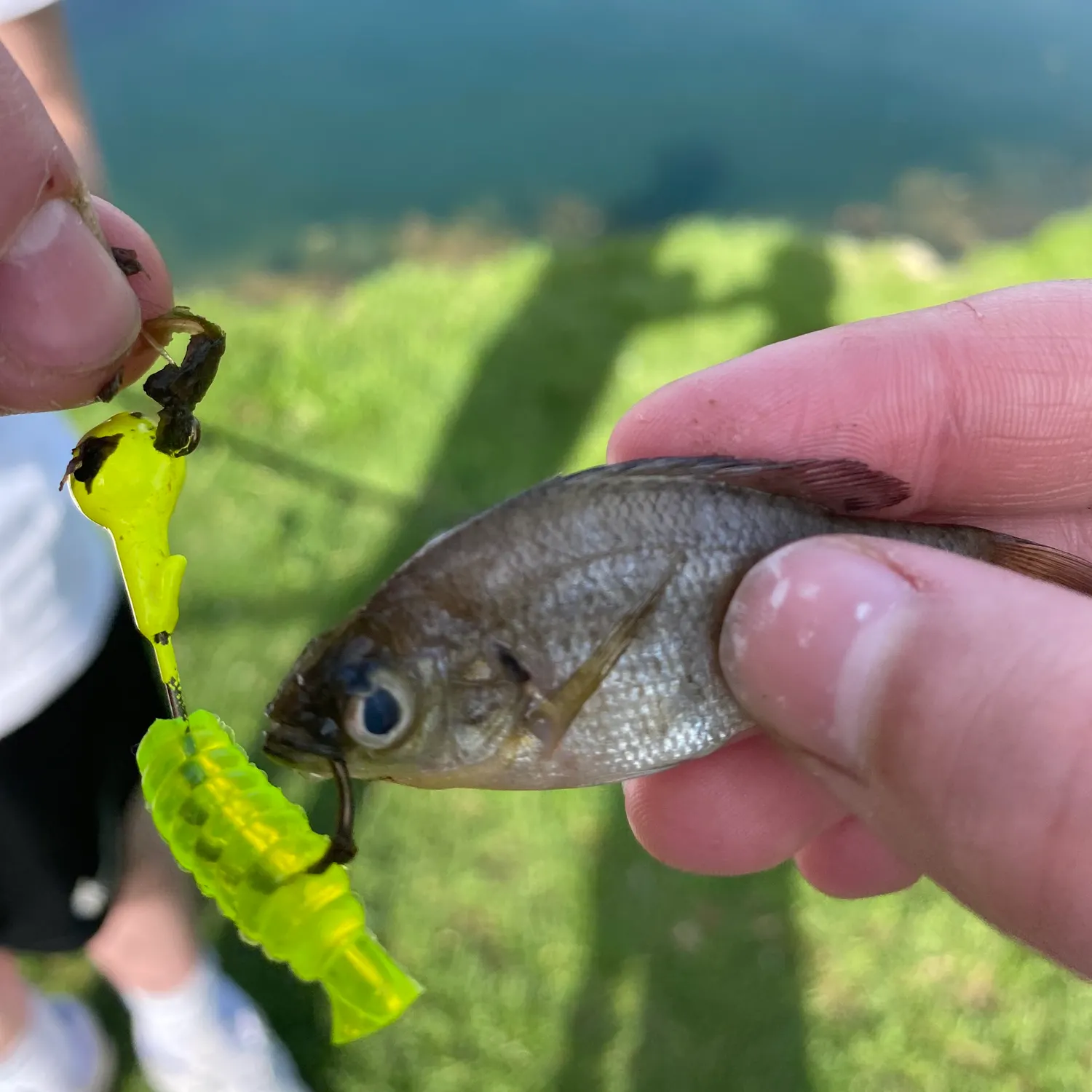 most liked catch image