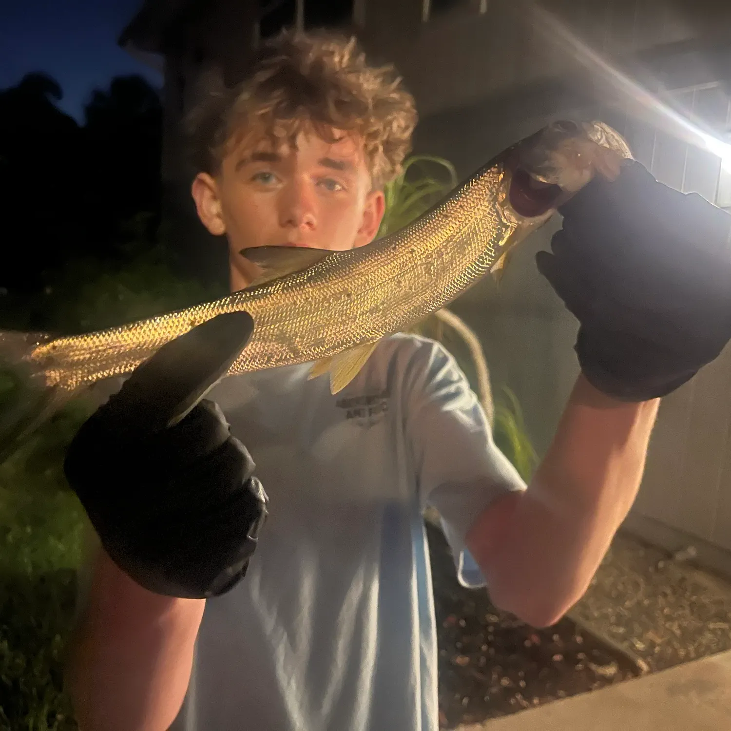 The most recent Tarpon catches on Fishbrain