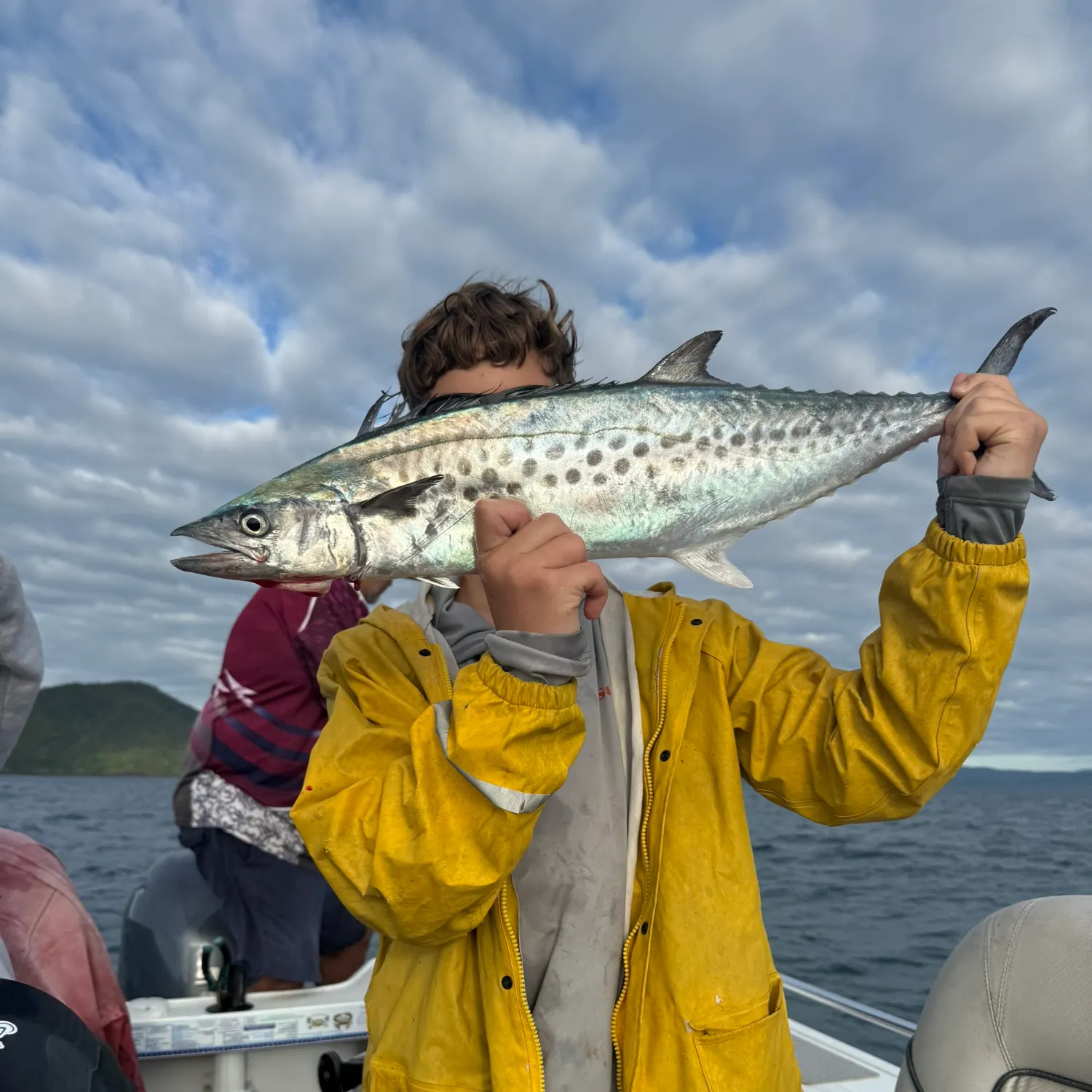 The most recent Australian spotted mackerel catches on Fishbrain