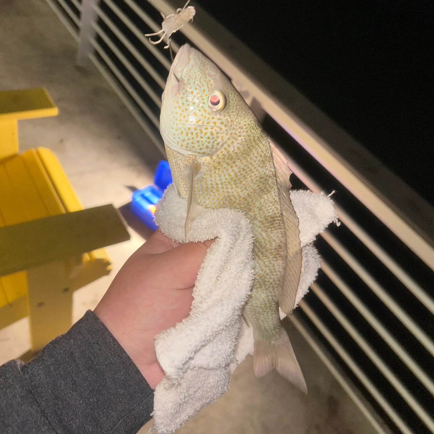 The most recent Sand perch catches on Fishbrain