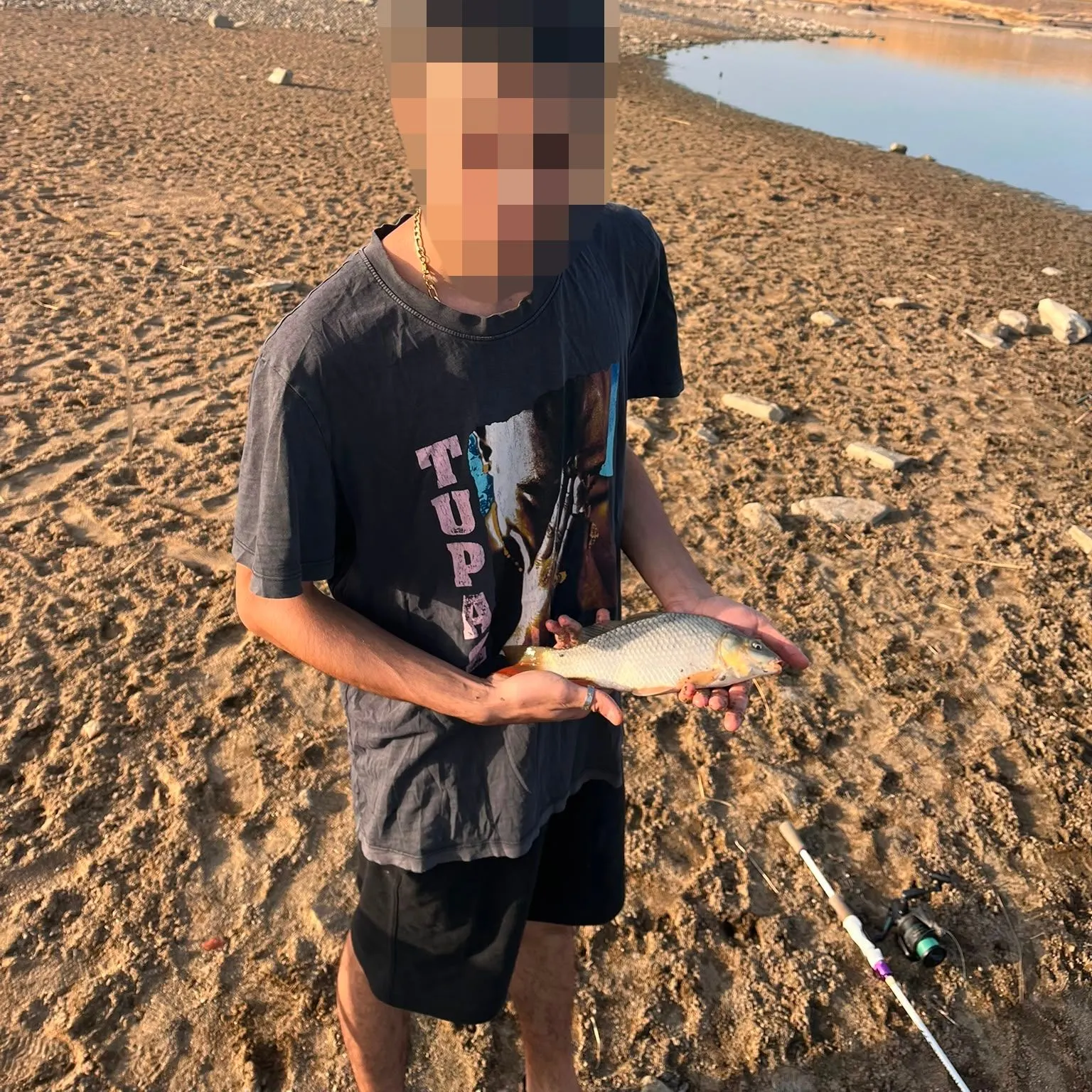 Common carp caught on Fishbrain