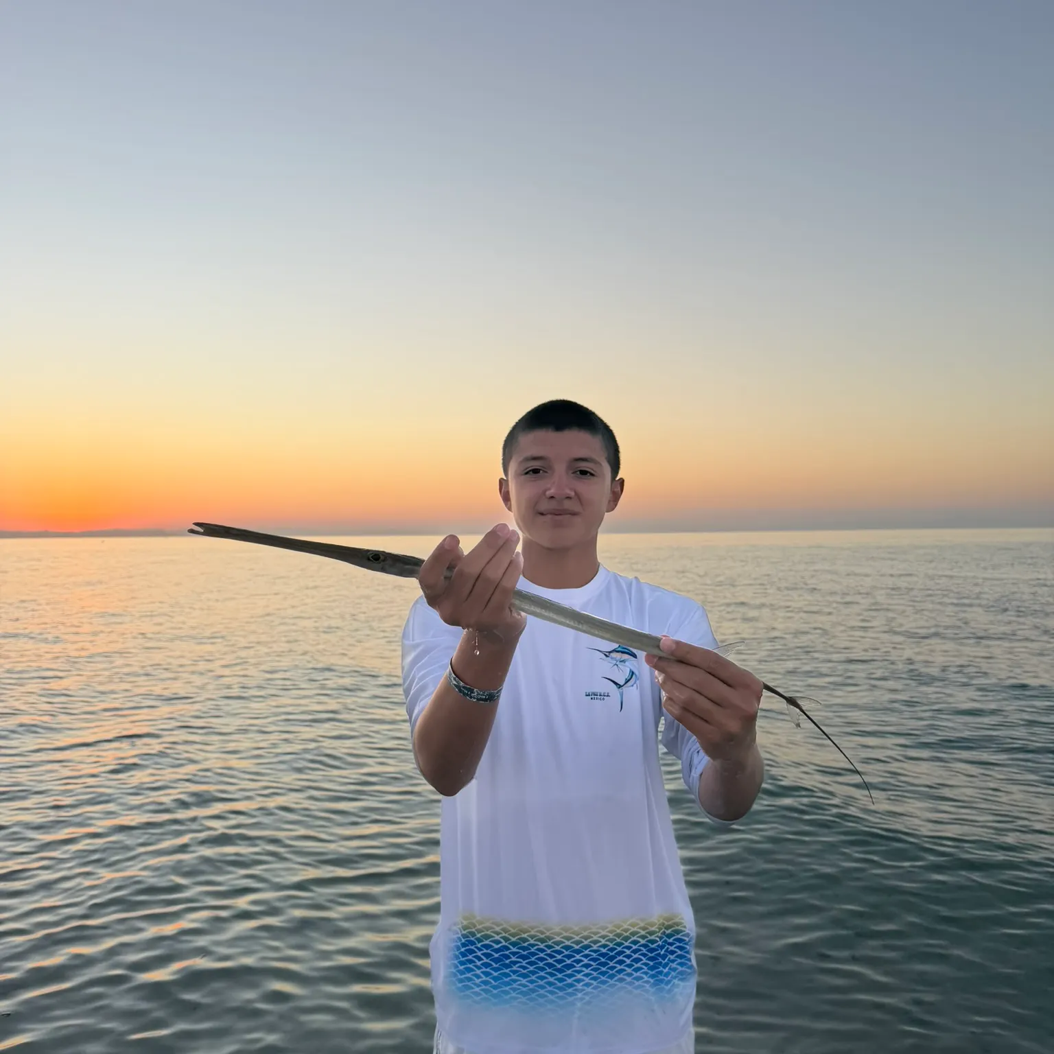 The most recent Chinese trumpetfish catches on Fishbrain