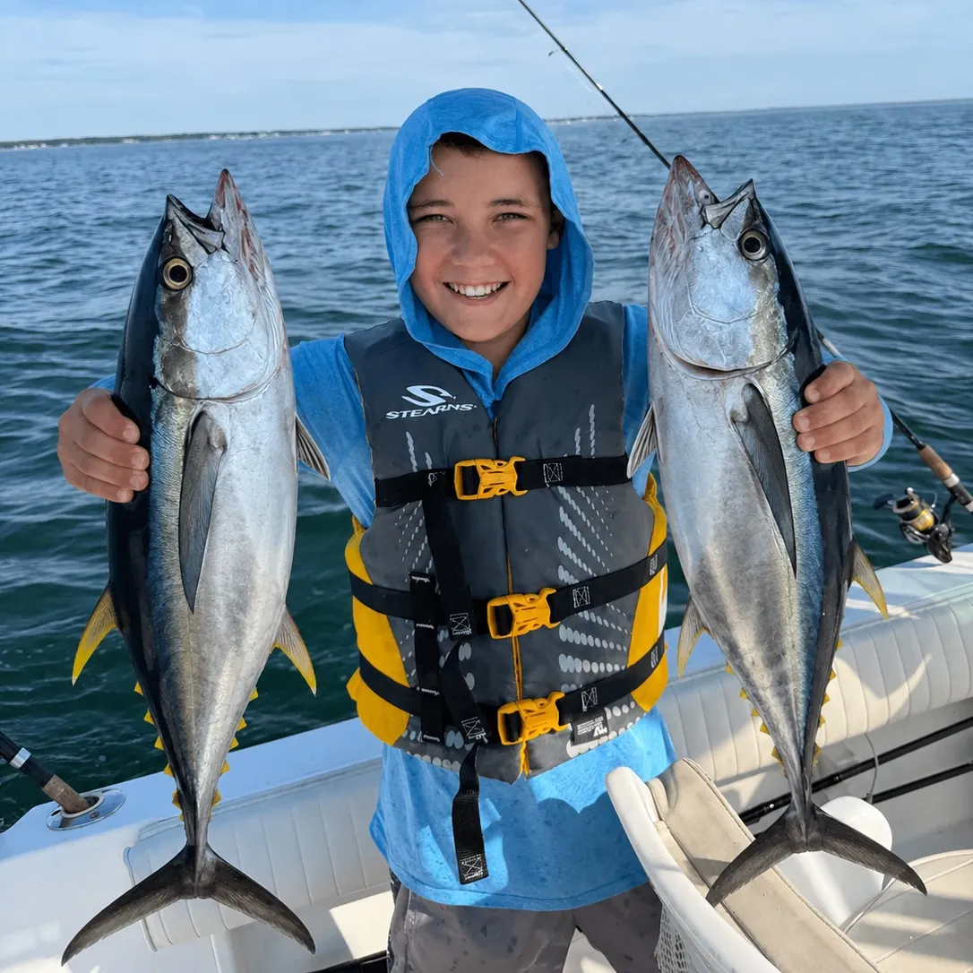 The most recent Striped marlin catches on Fishbrain