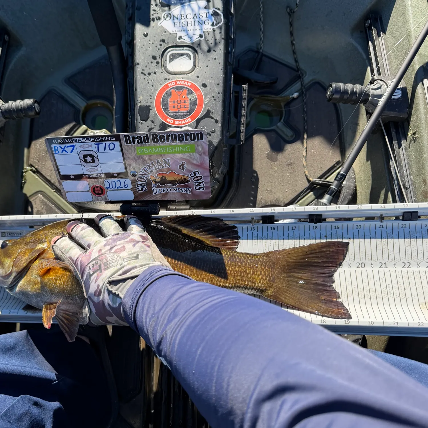 Smallmouth bass caught on Fishbrain