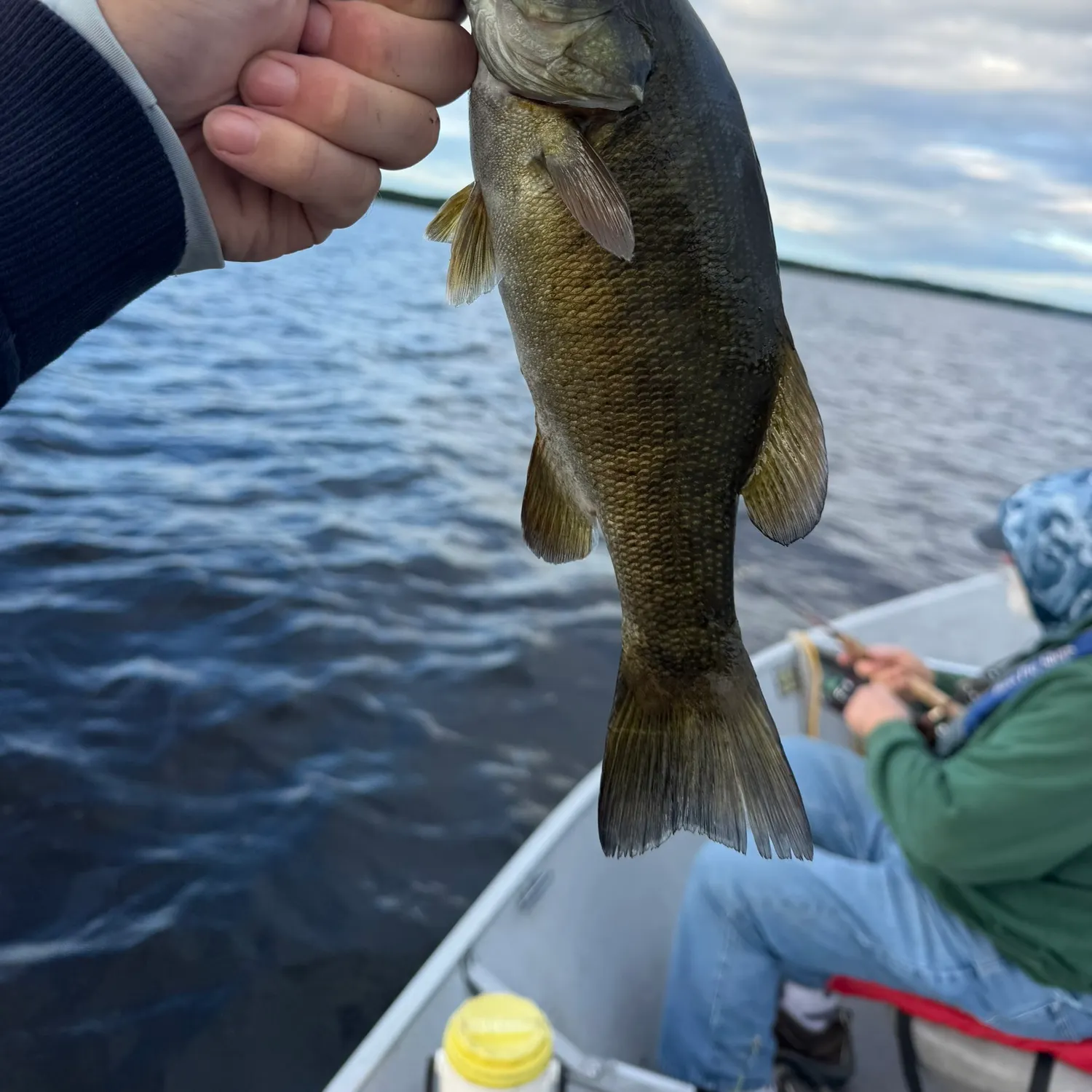 Smallmouth bass caught on Fishbrain