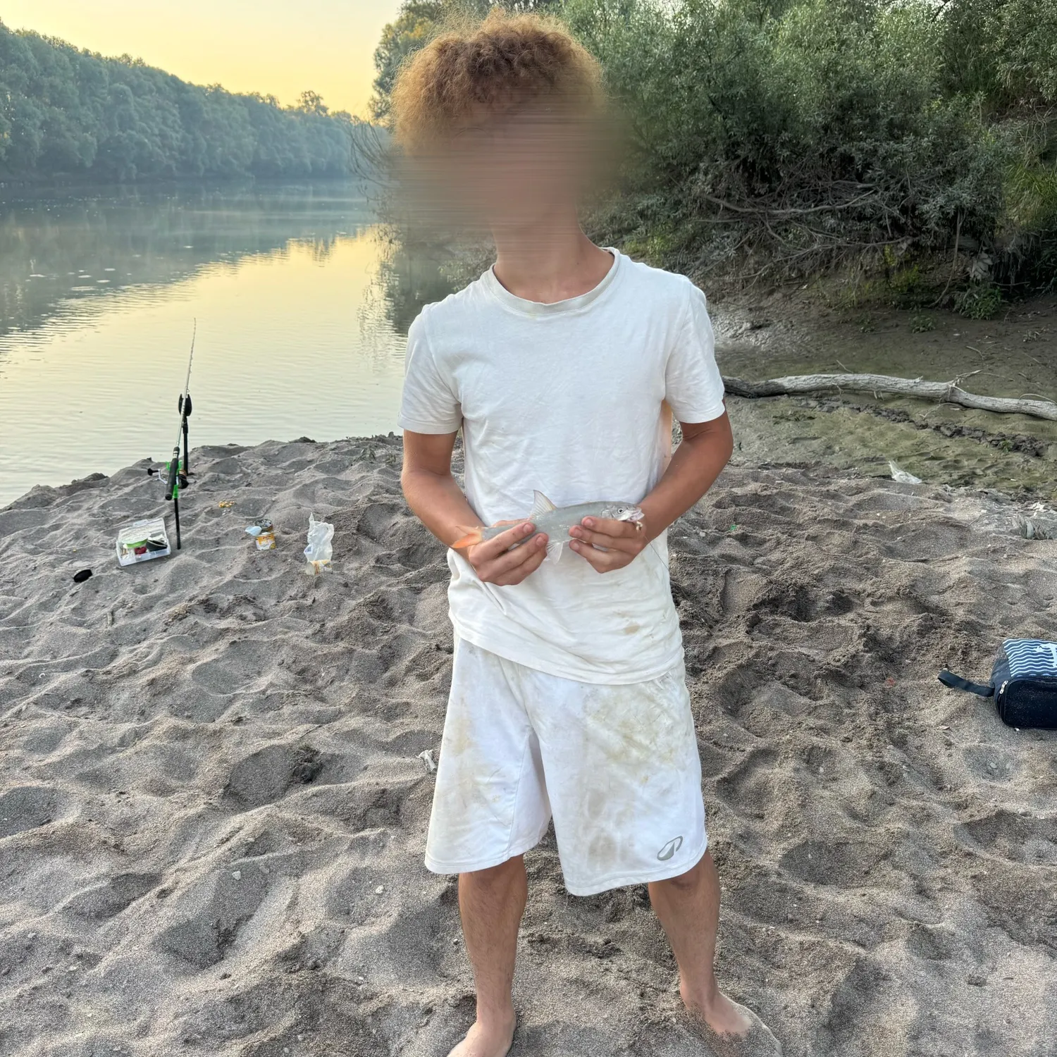 The most recent Italian barbel catches on Fishbrain
