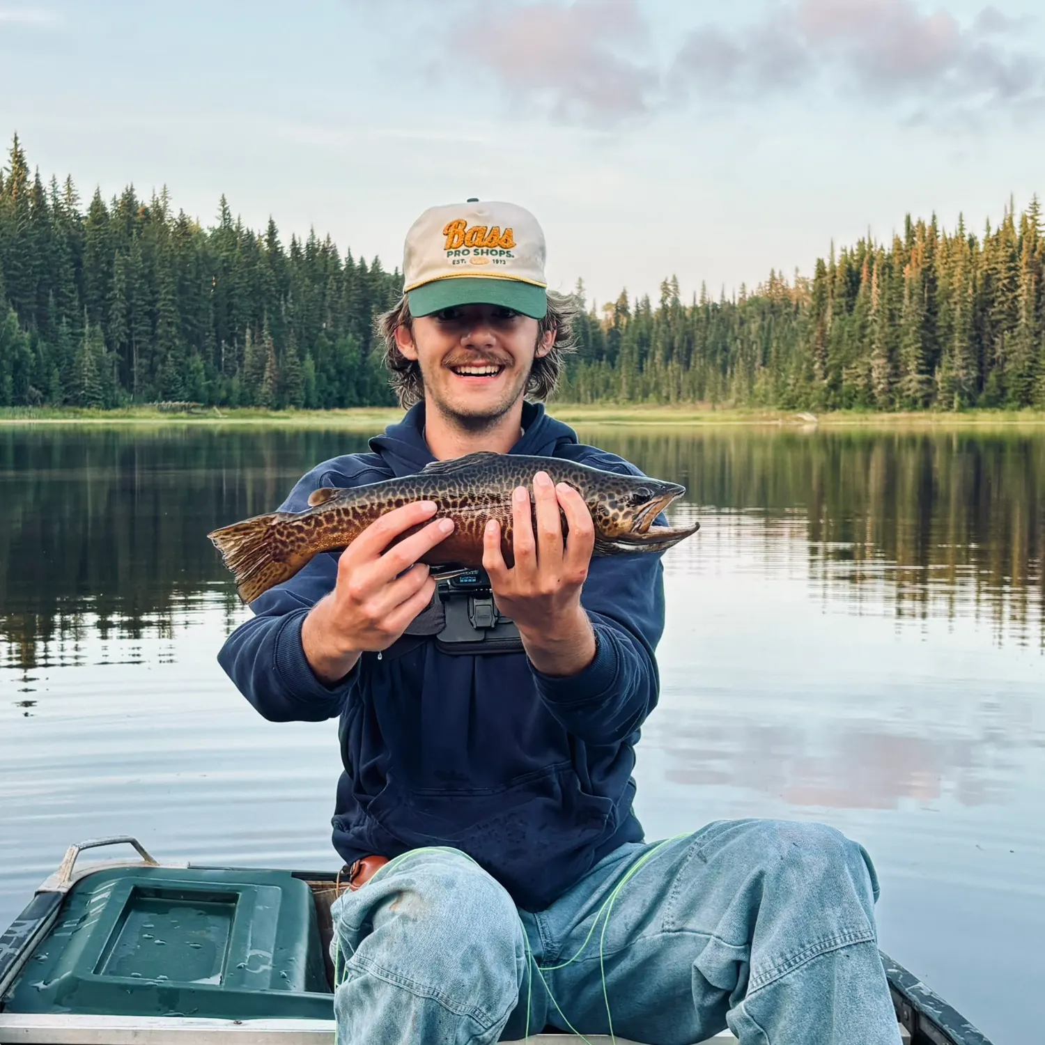 Tiger trout caught on Fishbrain