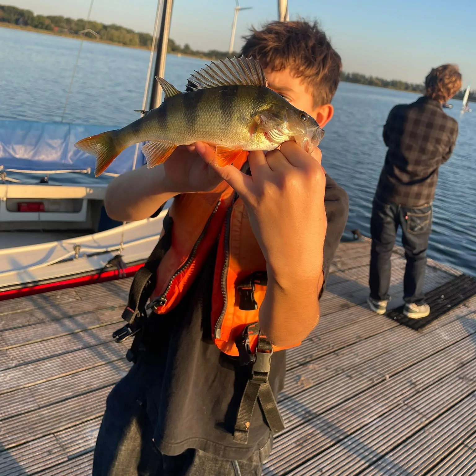European perch caught on Fishbrain
