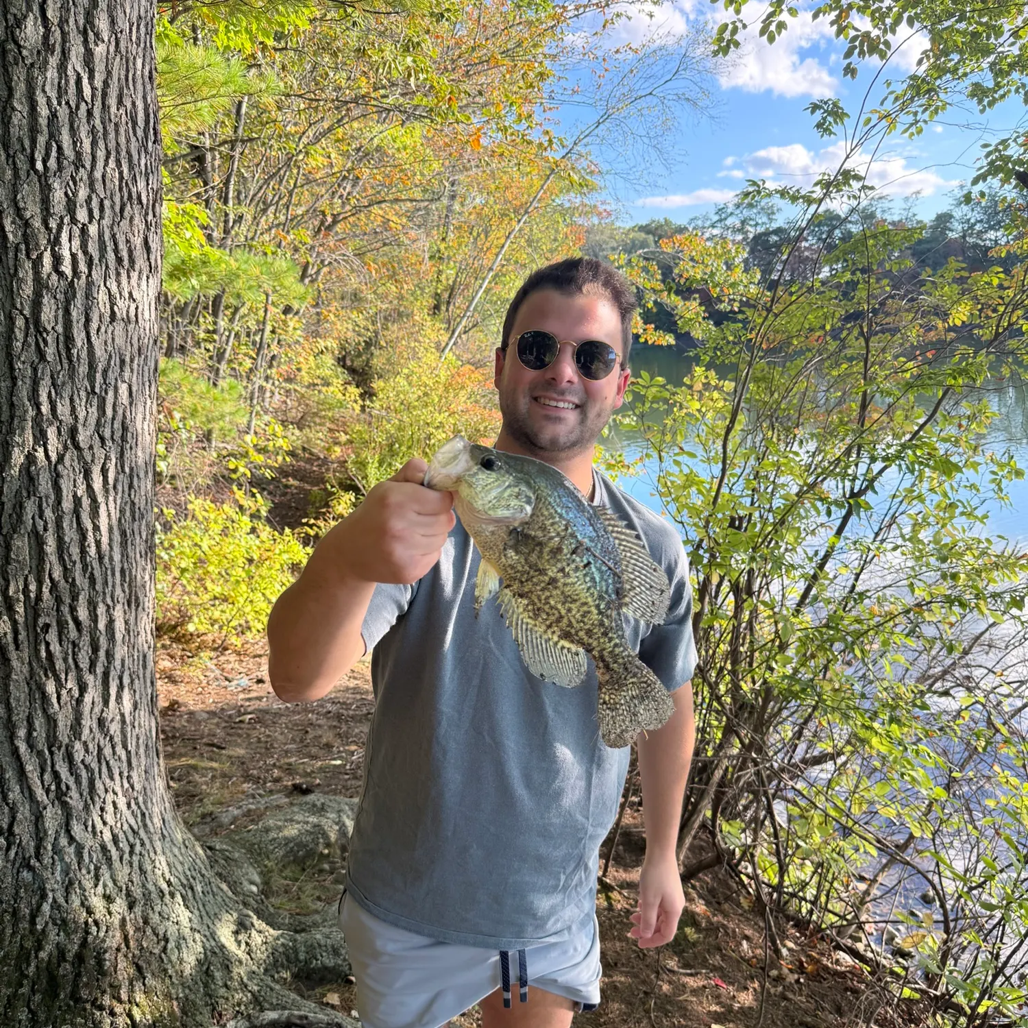 Black crappie caught on Fishbrain