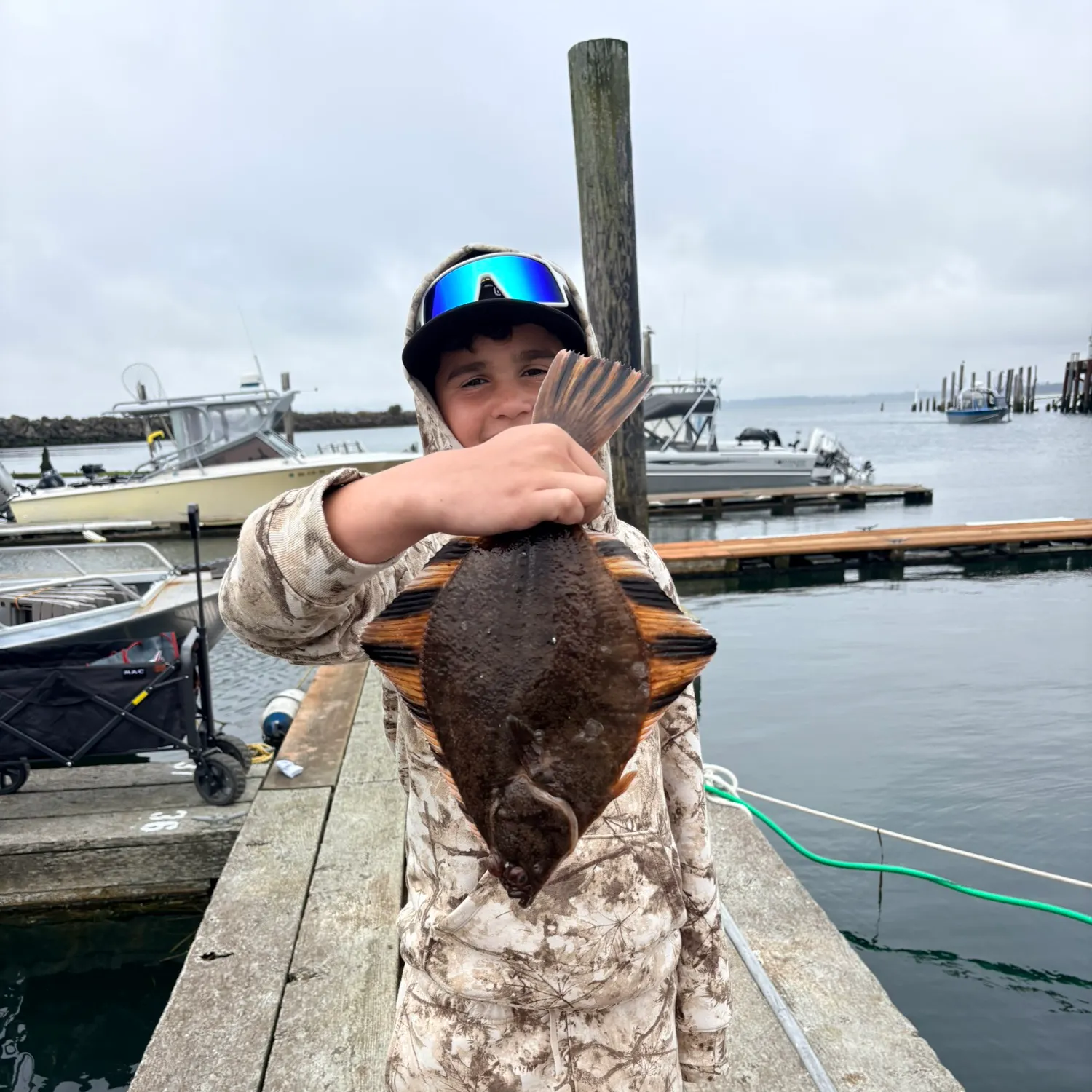 The most recent Starry flounder catches on Fishbrain