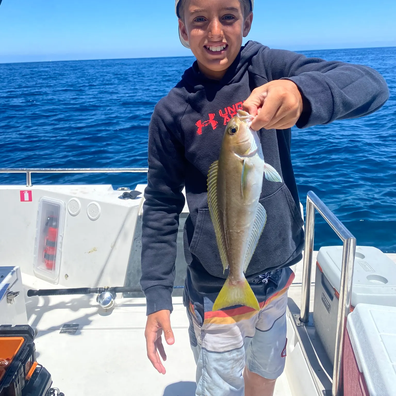 The most recent Ocean whitefish catches on Fishbrain