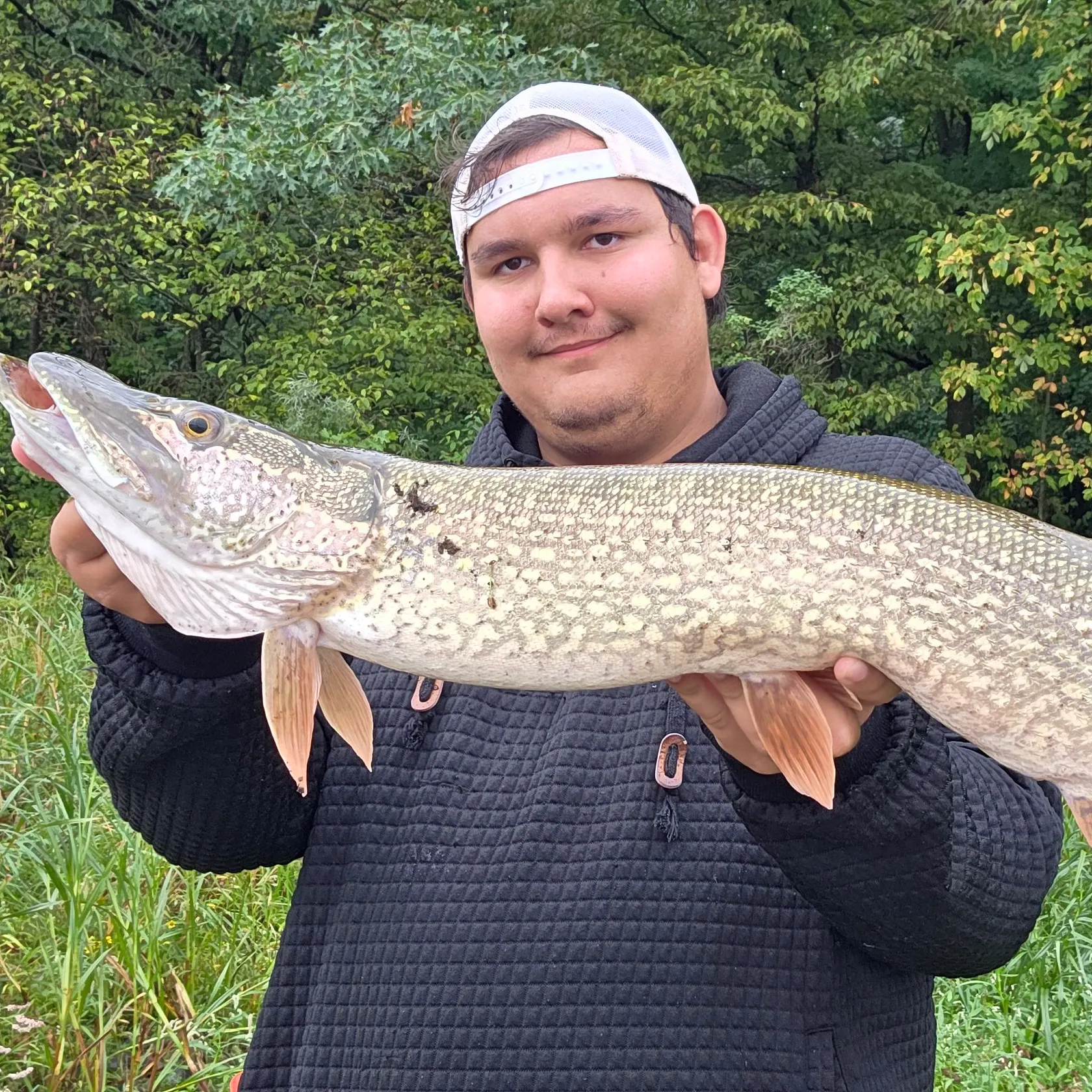 Northern pike caught on Fishbrain